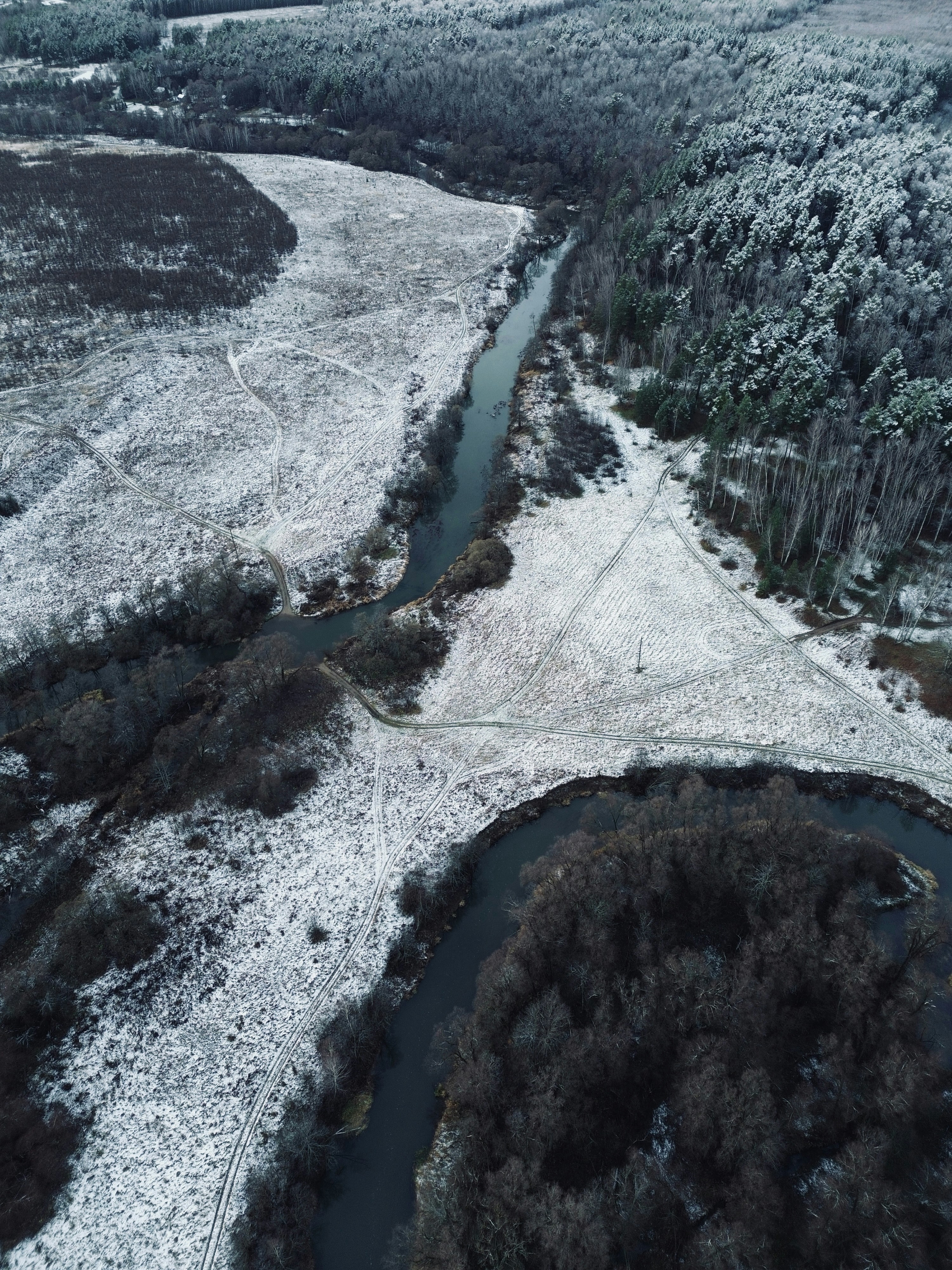 Photo by artemisss666