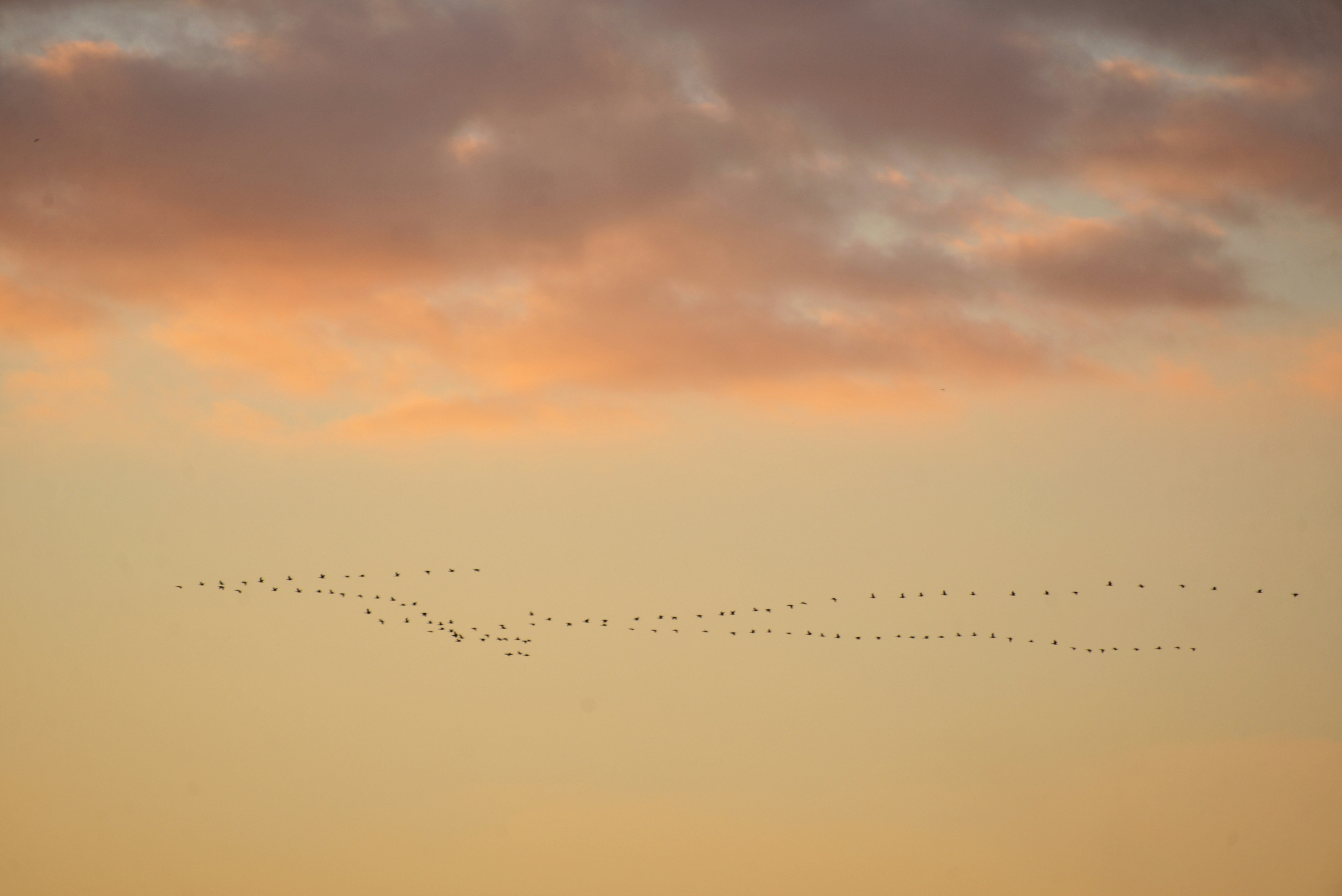 Photo by cherstve_pechivo