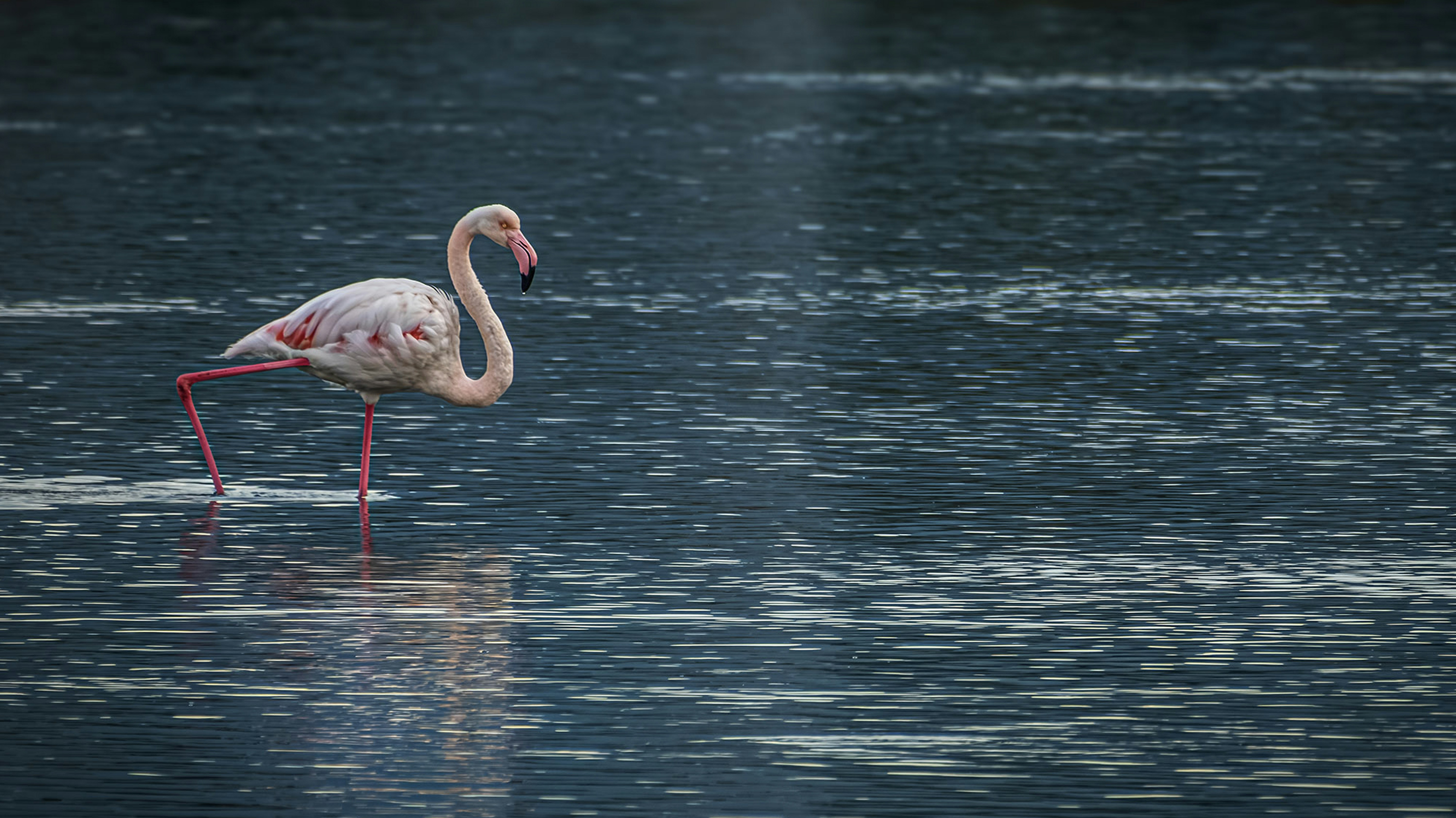 Photo by graphis_photos