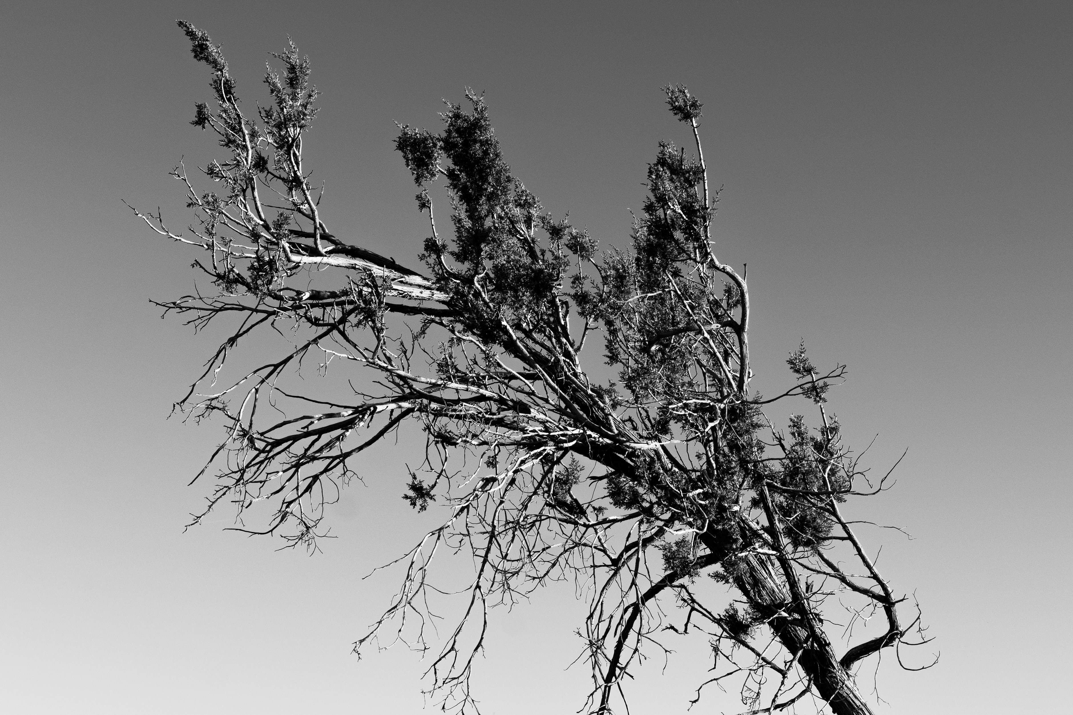 Photo by editsbymarvin