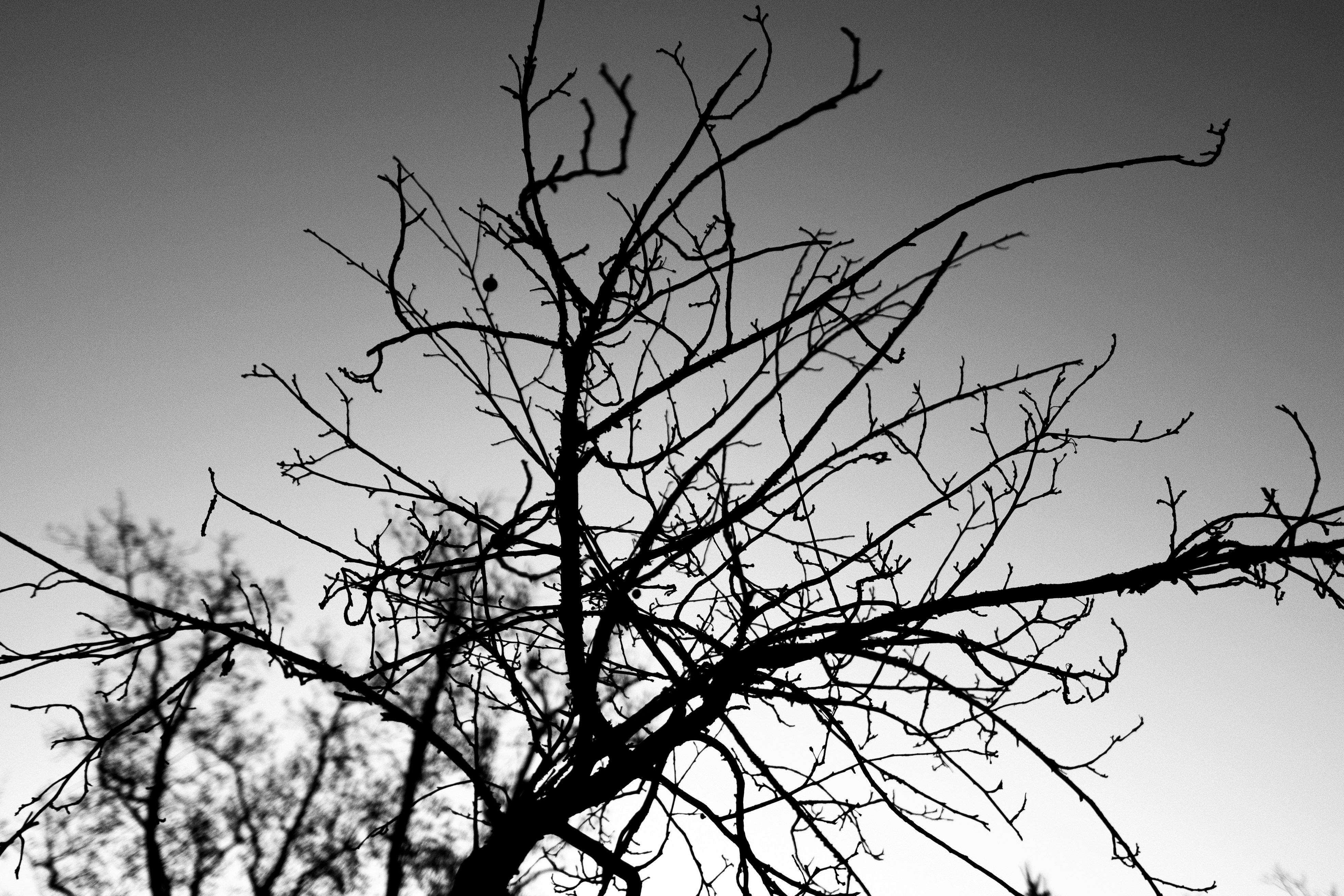 Photo by editsbymarvin