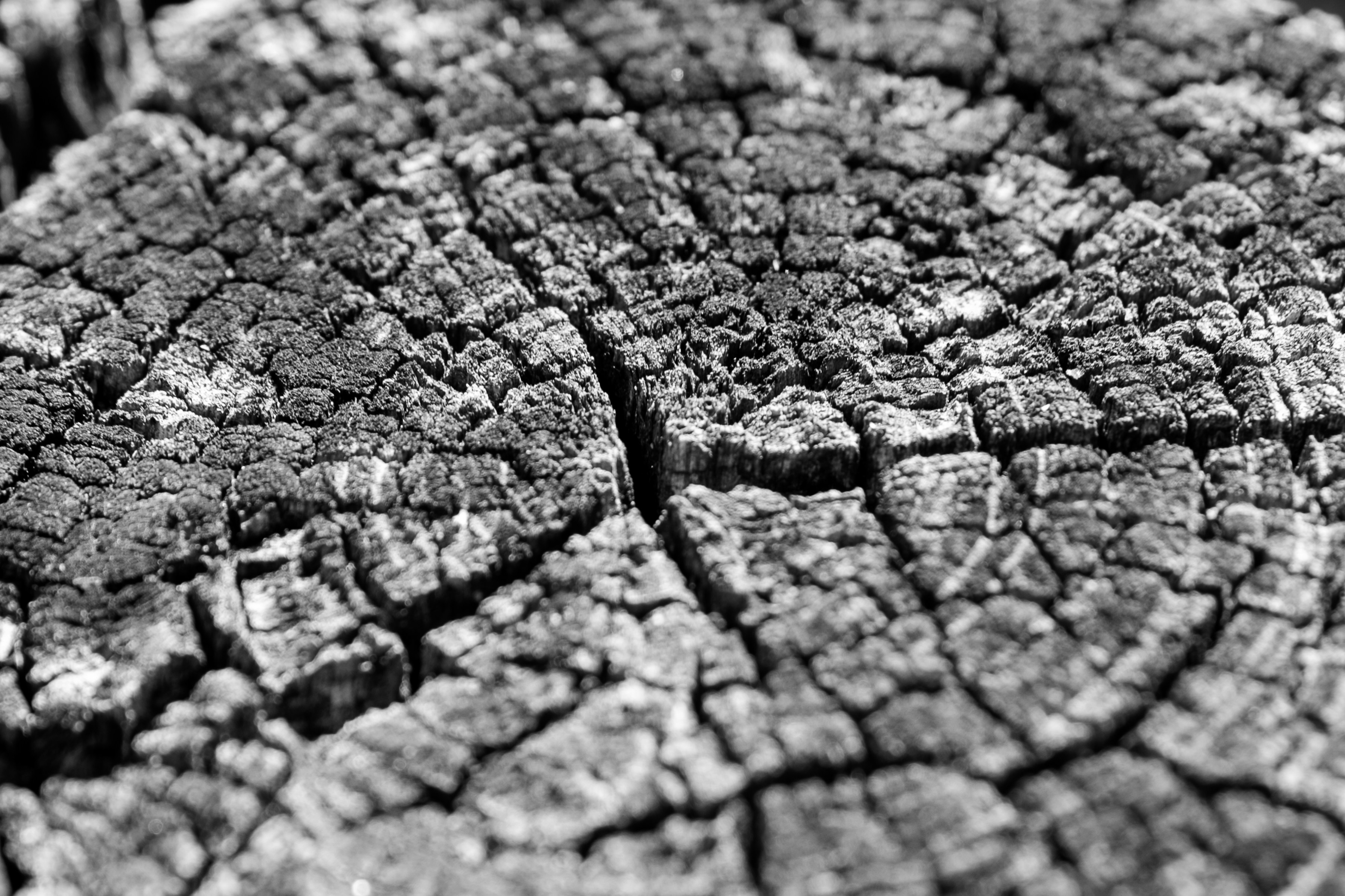 Photo by editsbymarvin