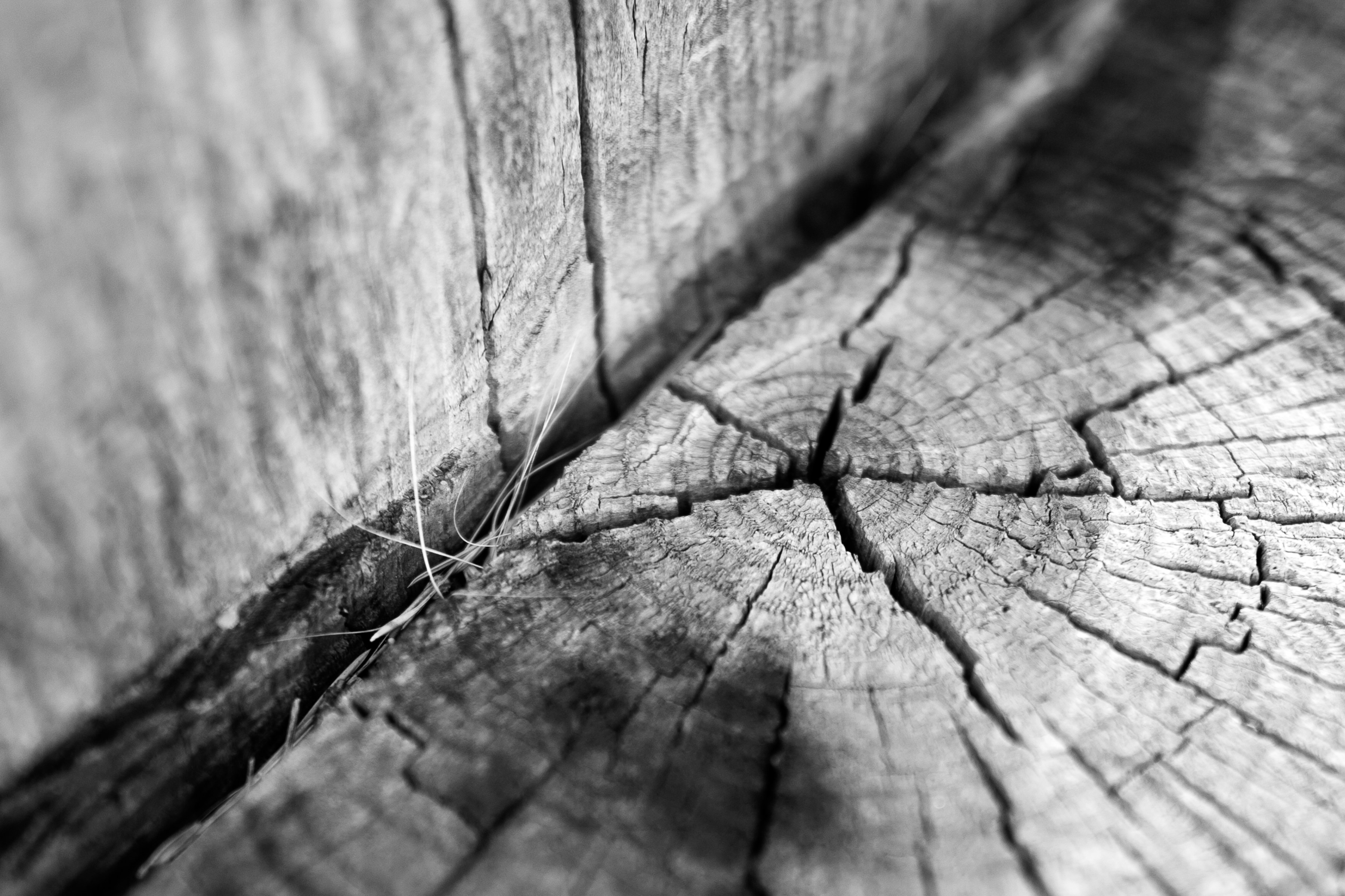 Photo by editsbymarvin