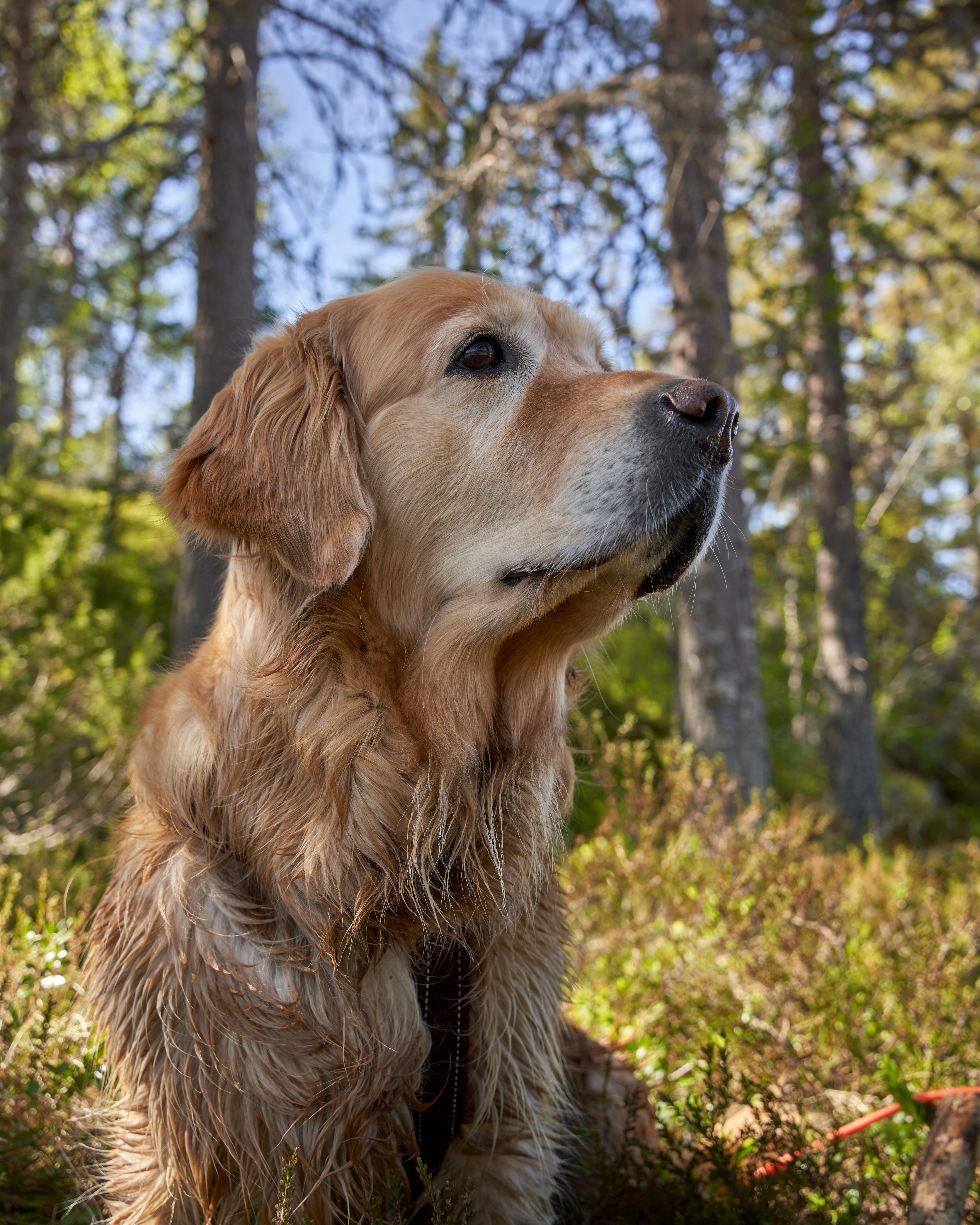 Photo by davotibarna