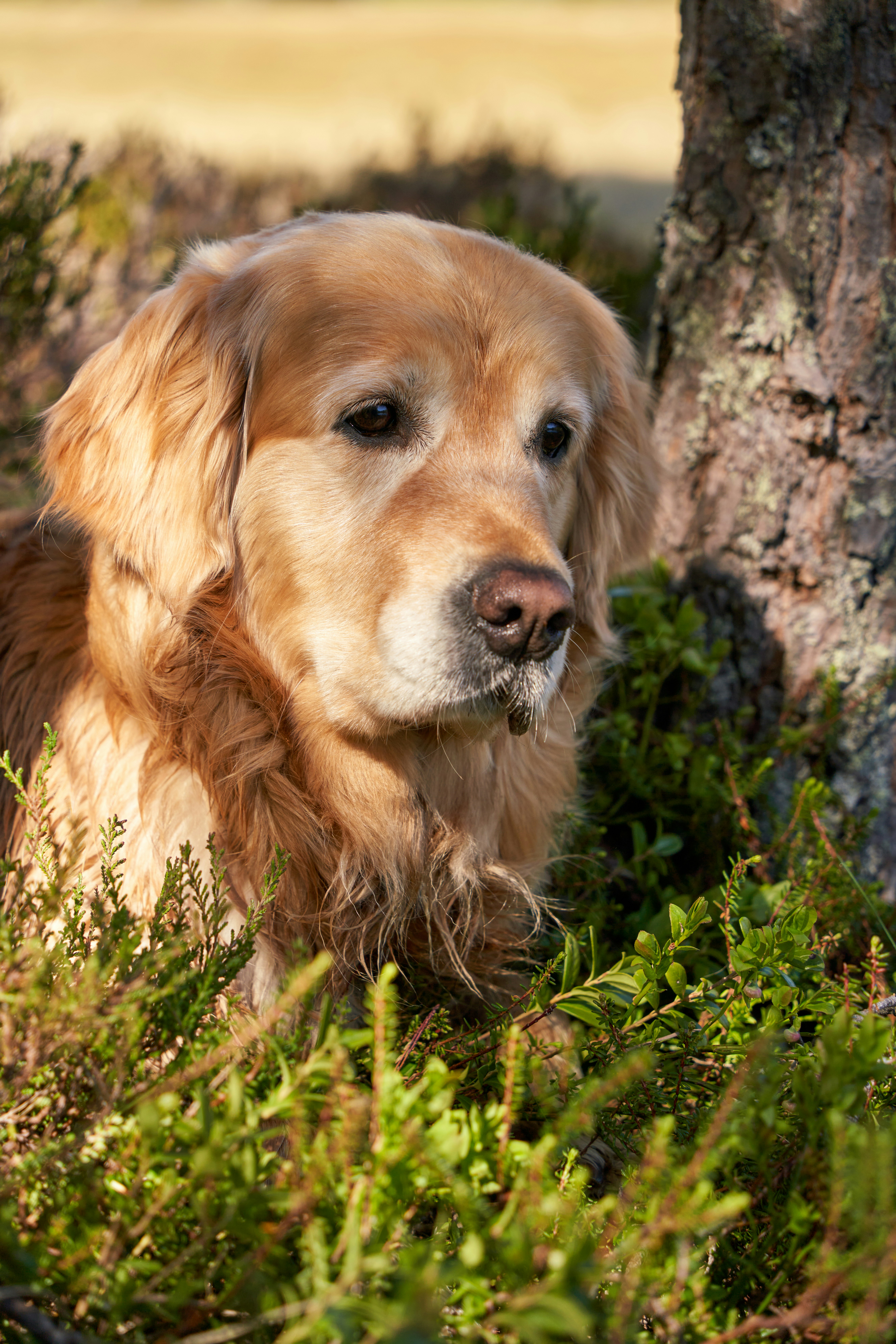 Photo by davotibarna