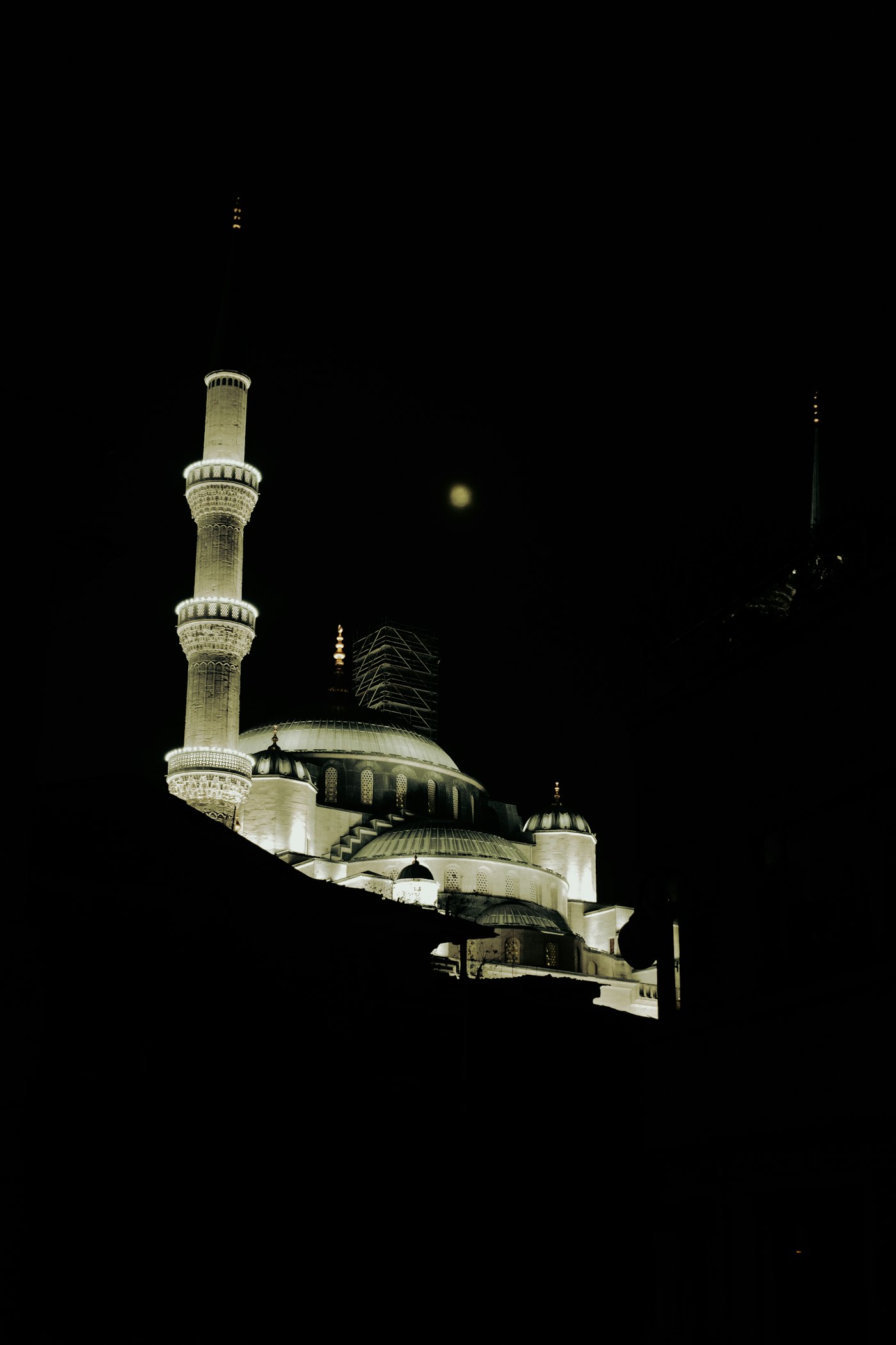 Benefits of Online Quran Learning for Children