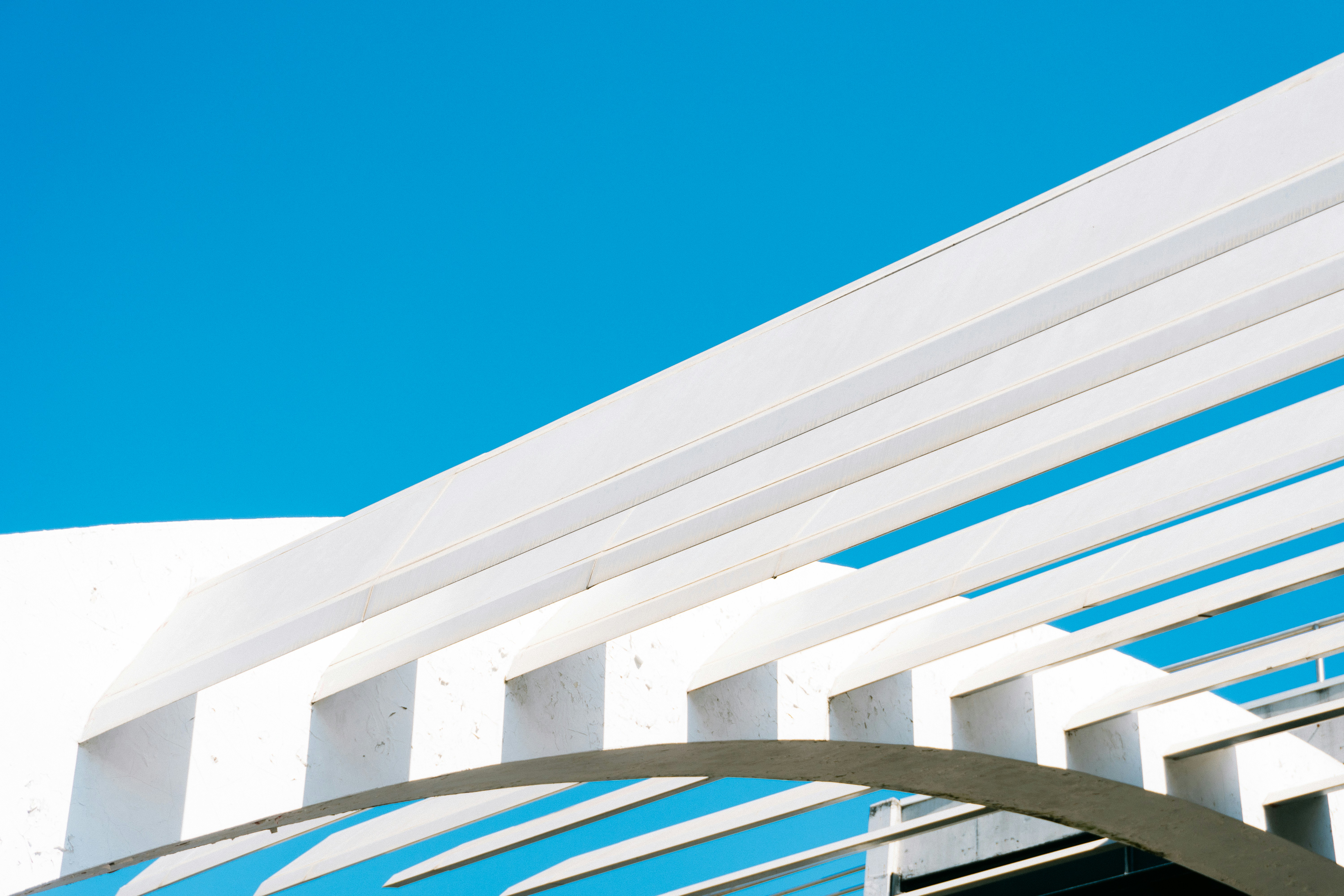 Photo by leovamexican