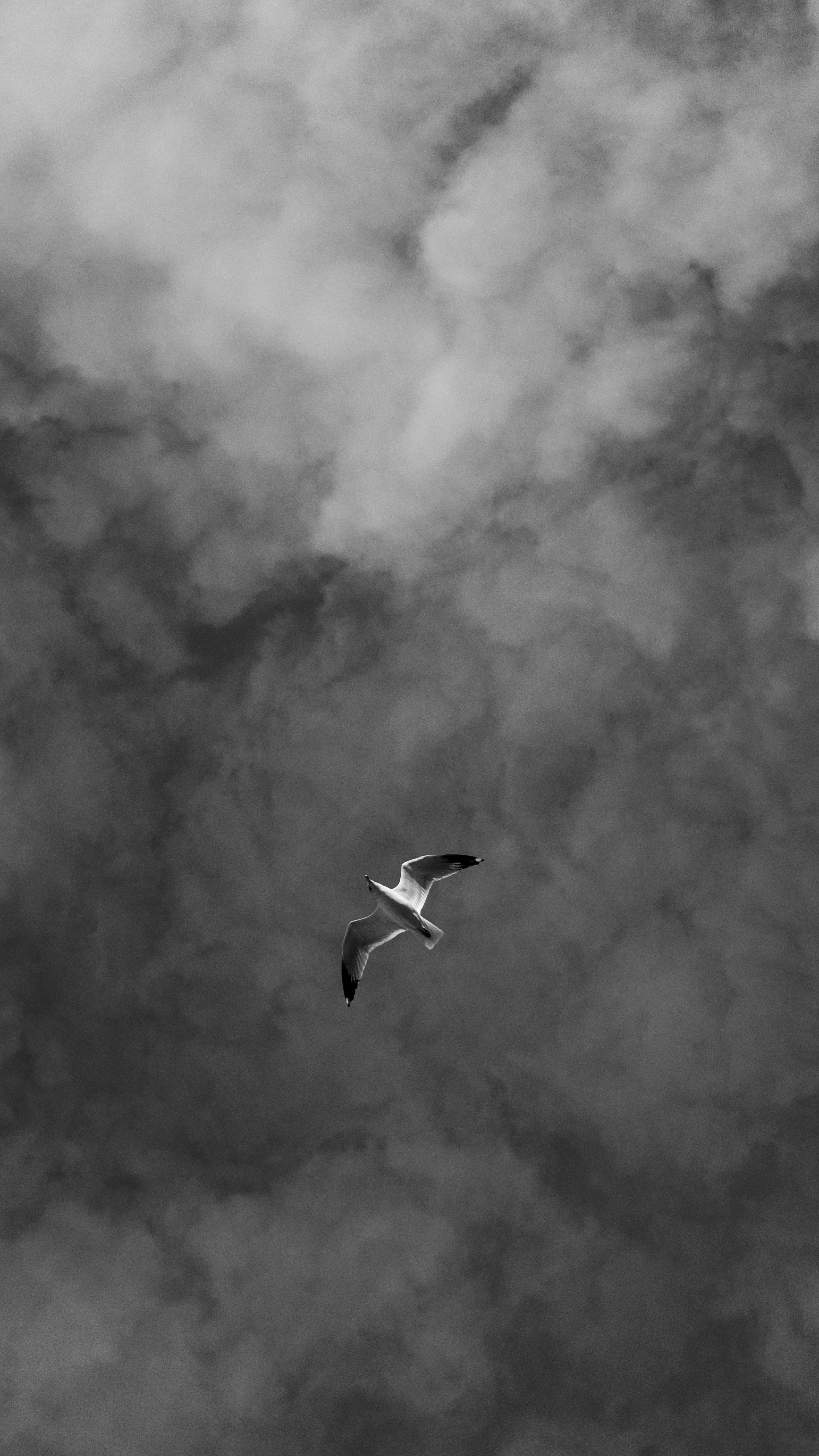 Photo by crewjohnsonofficial