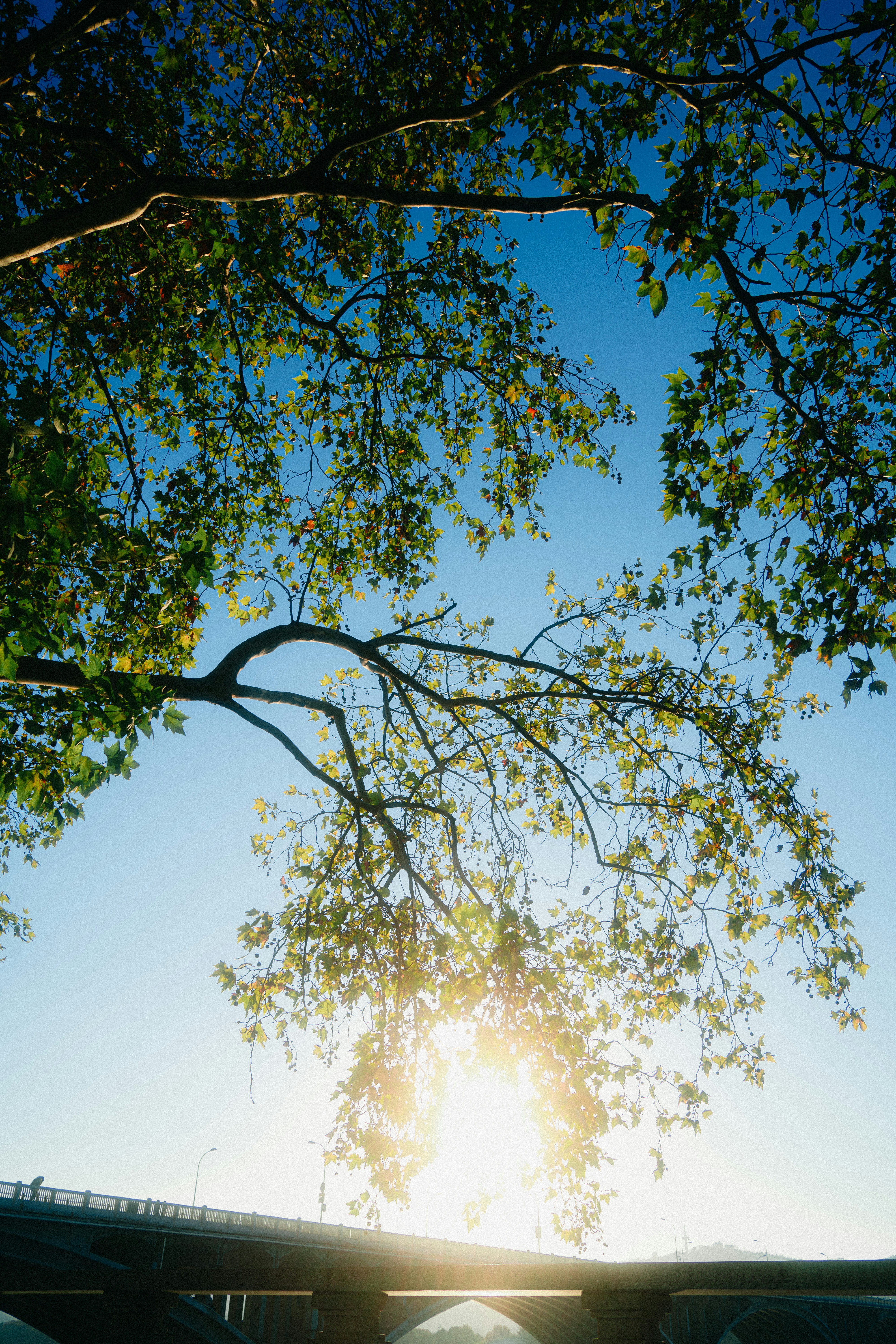 Photo by xiexianghua