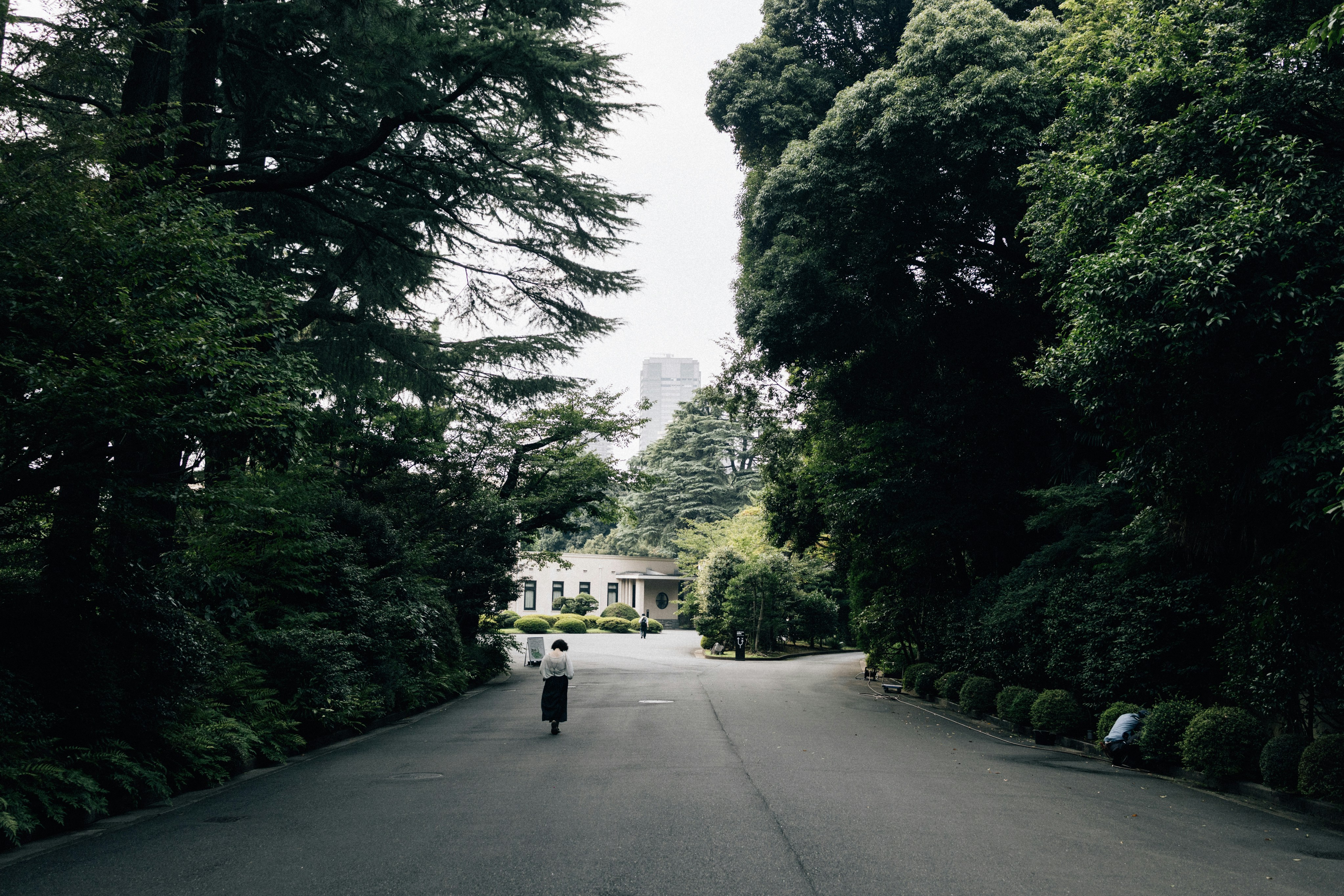 Photo by tsuyoshikozu