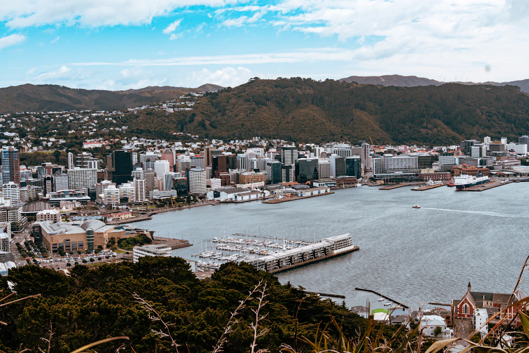 3-Day Luxury Wellington Itinerary | Premium Travel Guide