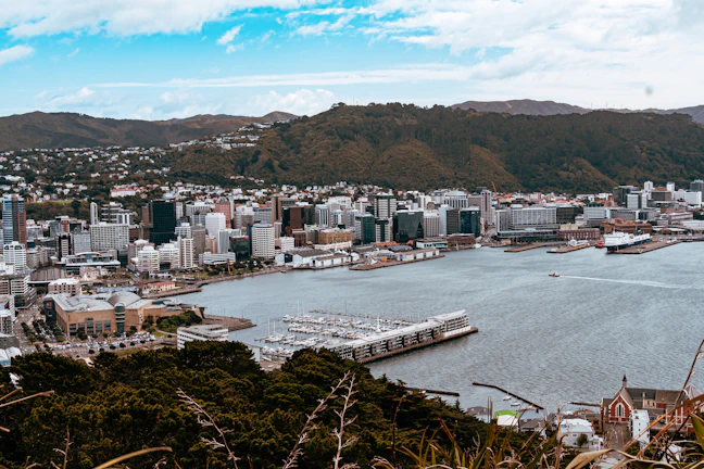 3-Day Luxury Wellington Itinerary | Premium Travel Guide