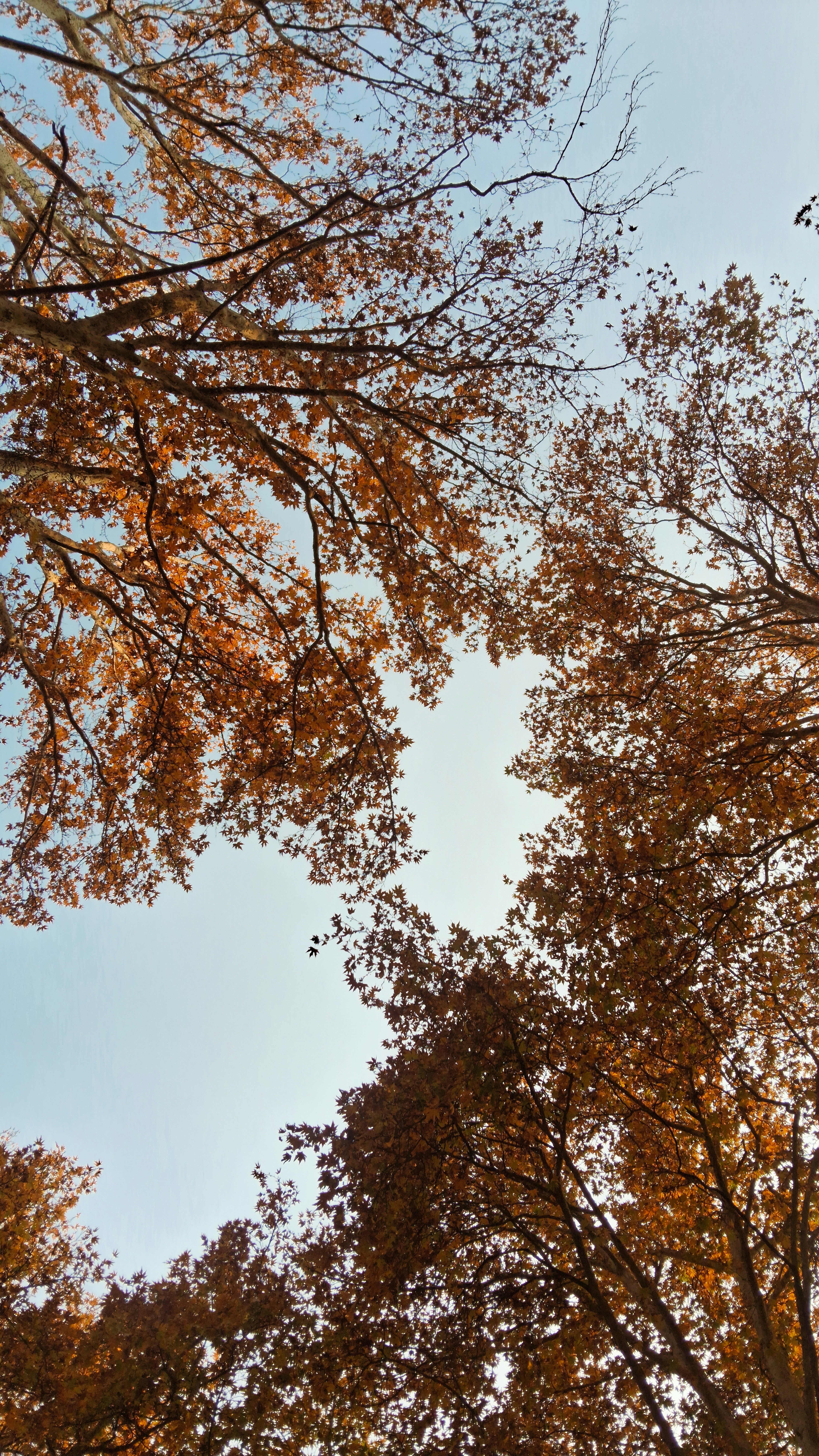 Photo by majidhussain_404