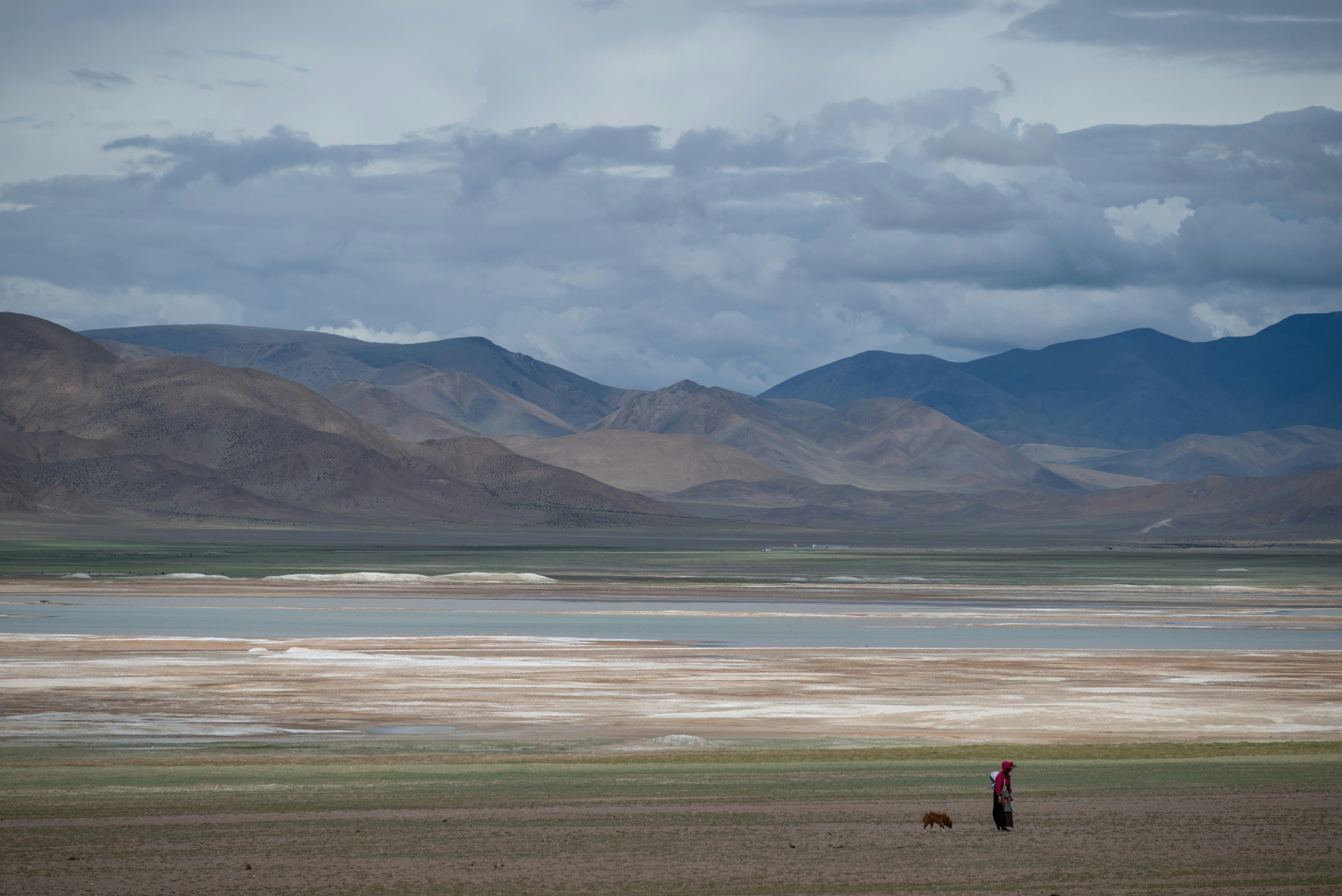 A lone person and dog walk across a vast landscape.