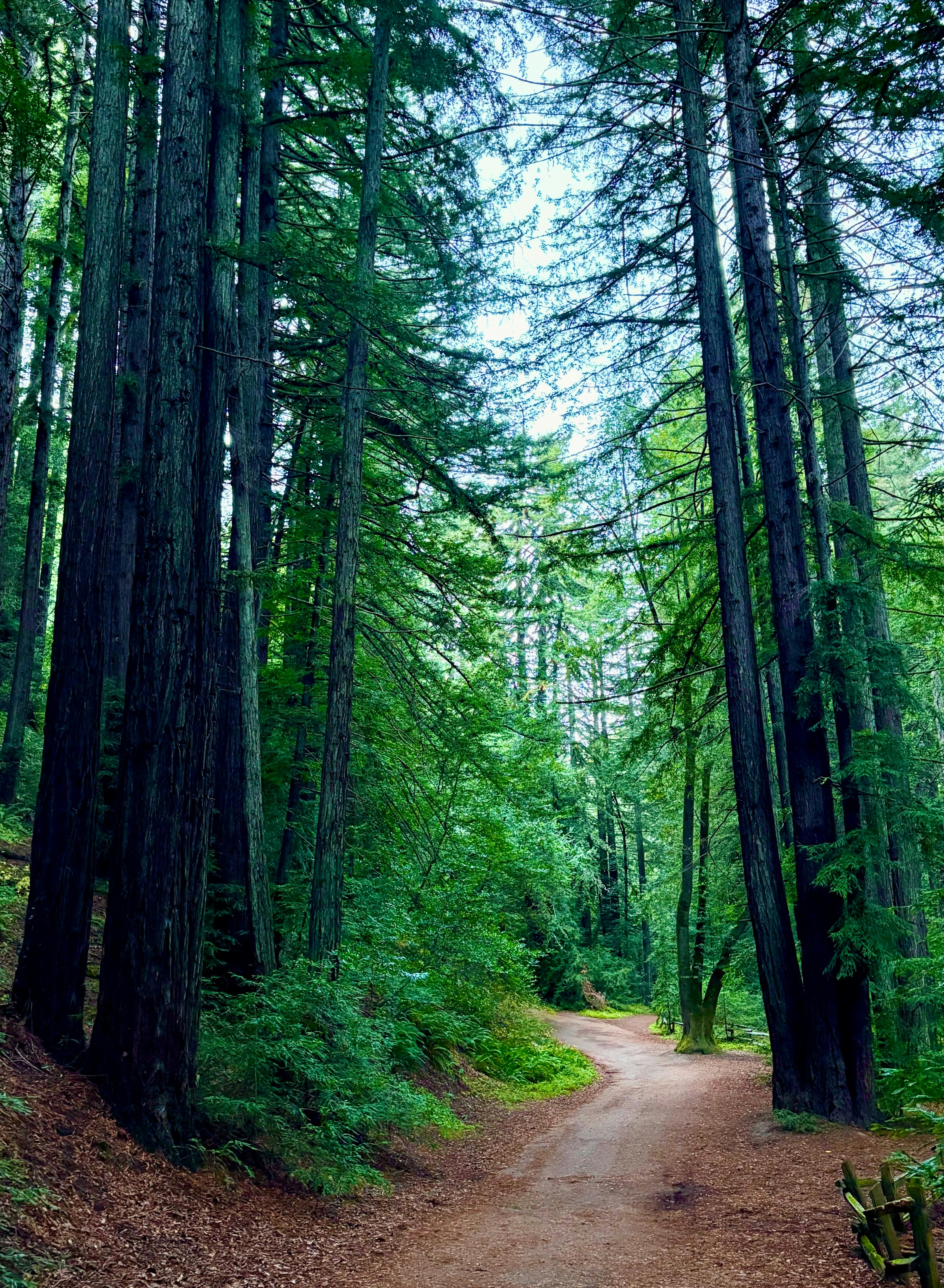 Photo by mmiglio2025