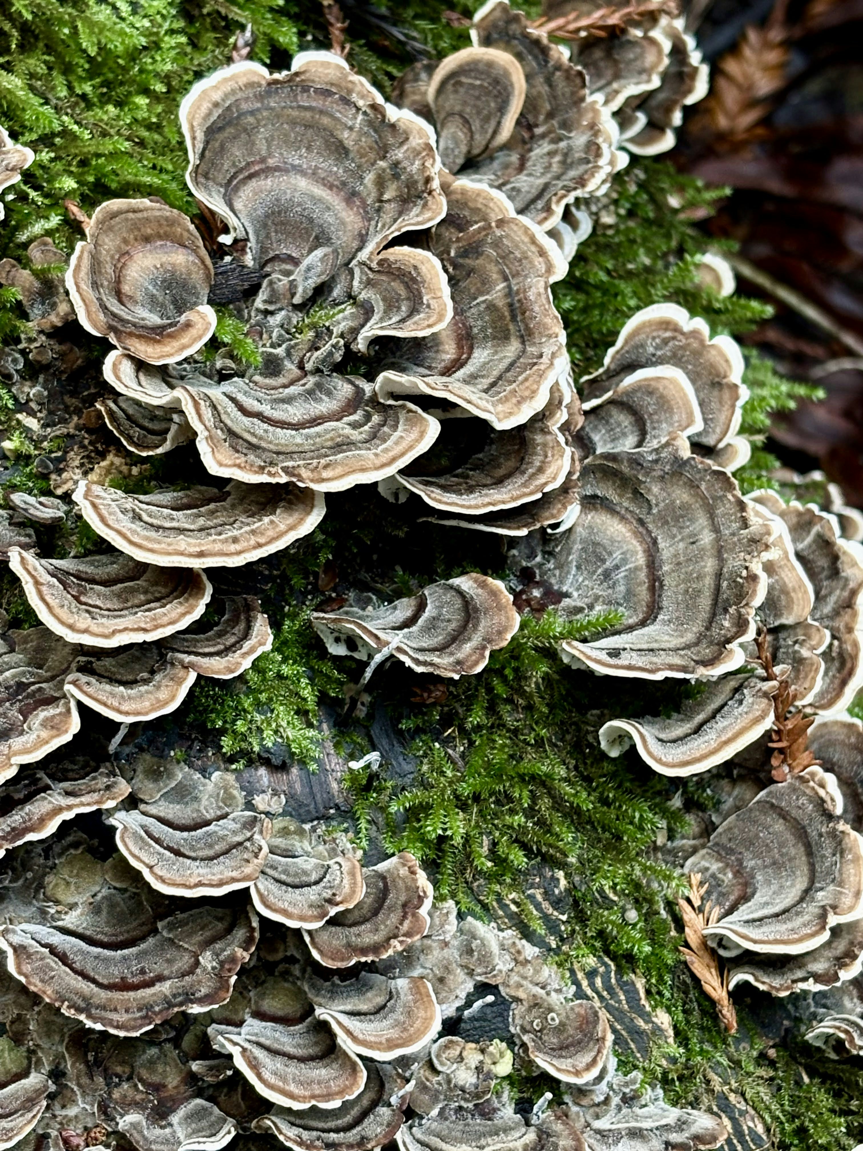 Photo by mmiglio2025