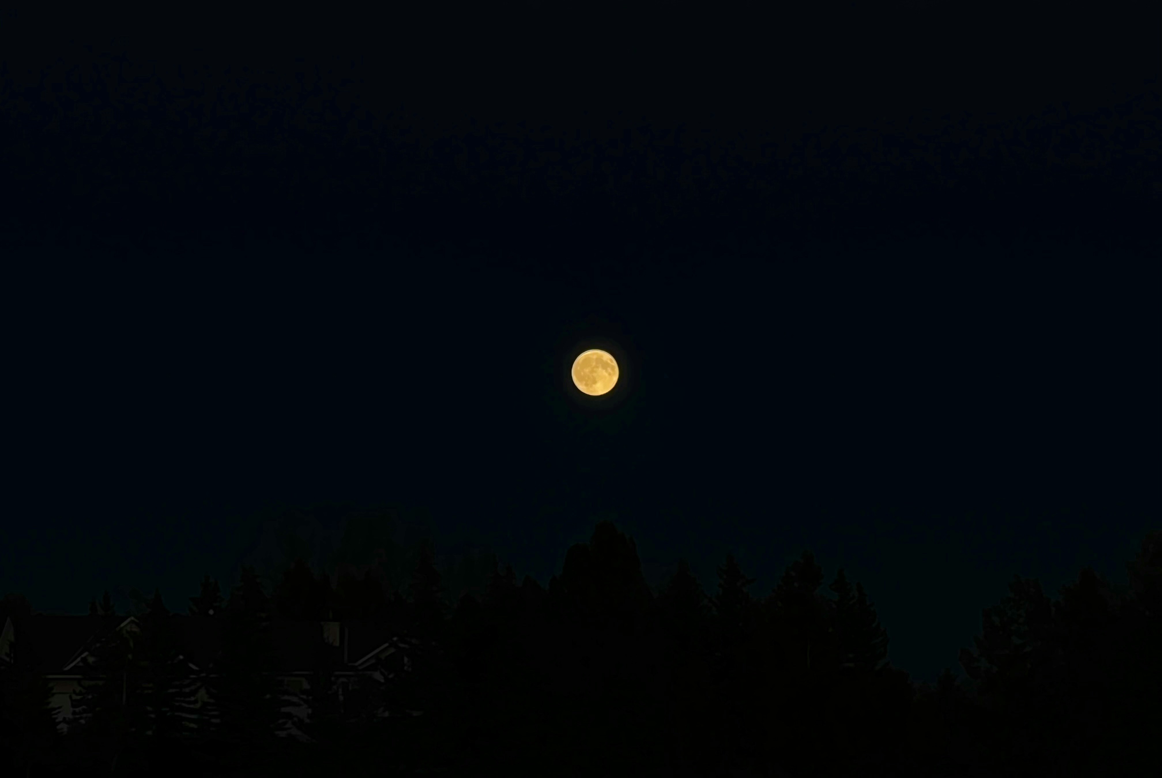 Photo by austinjoyous