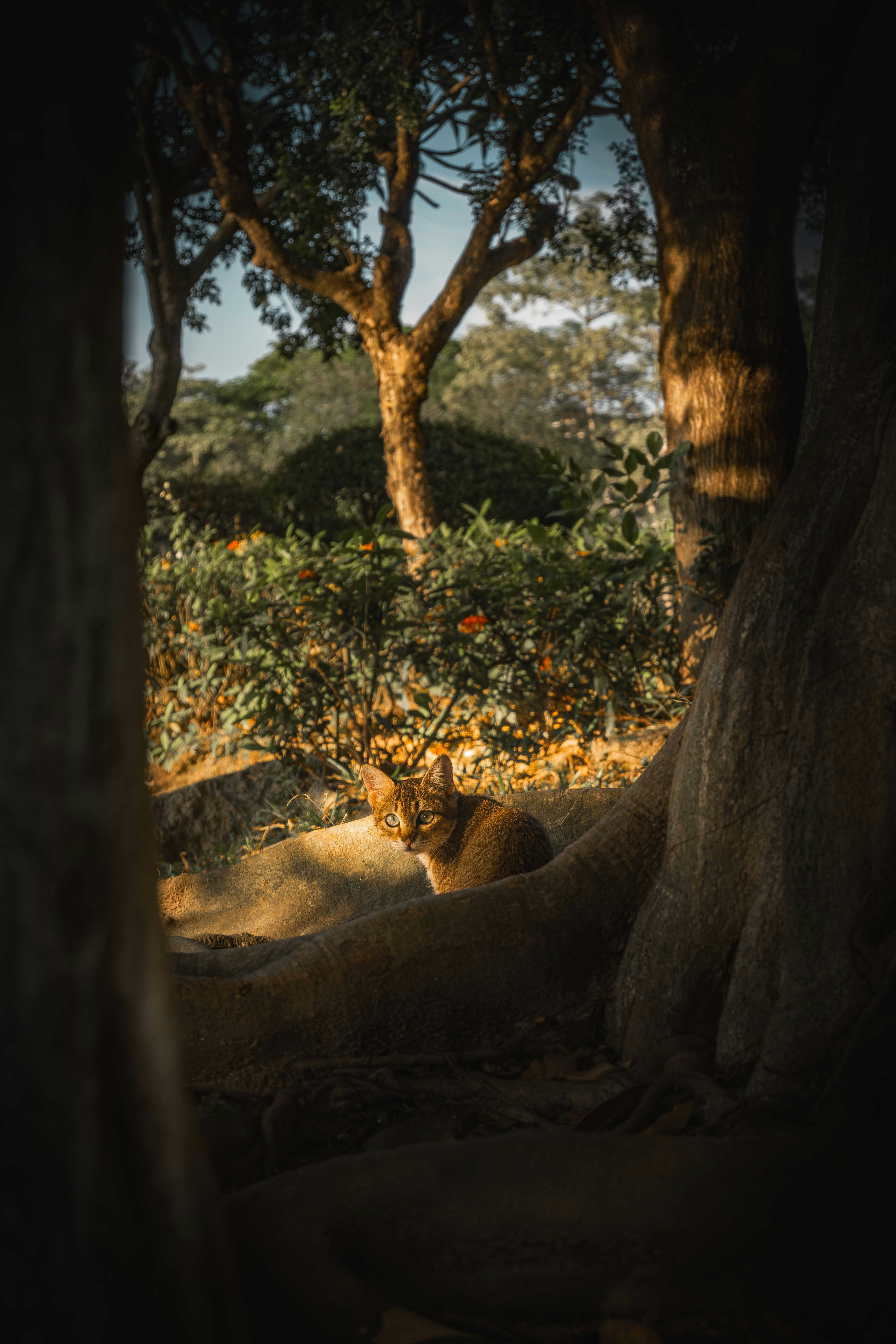 Photo by 1989folklore