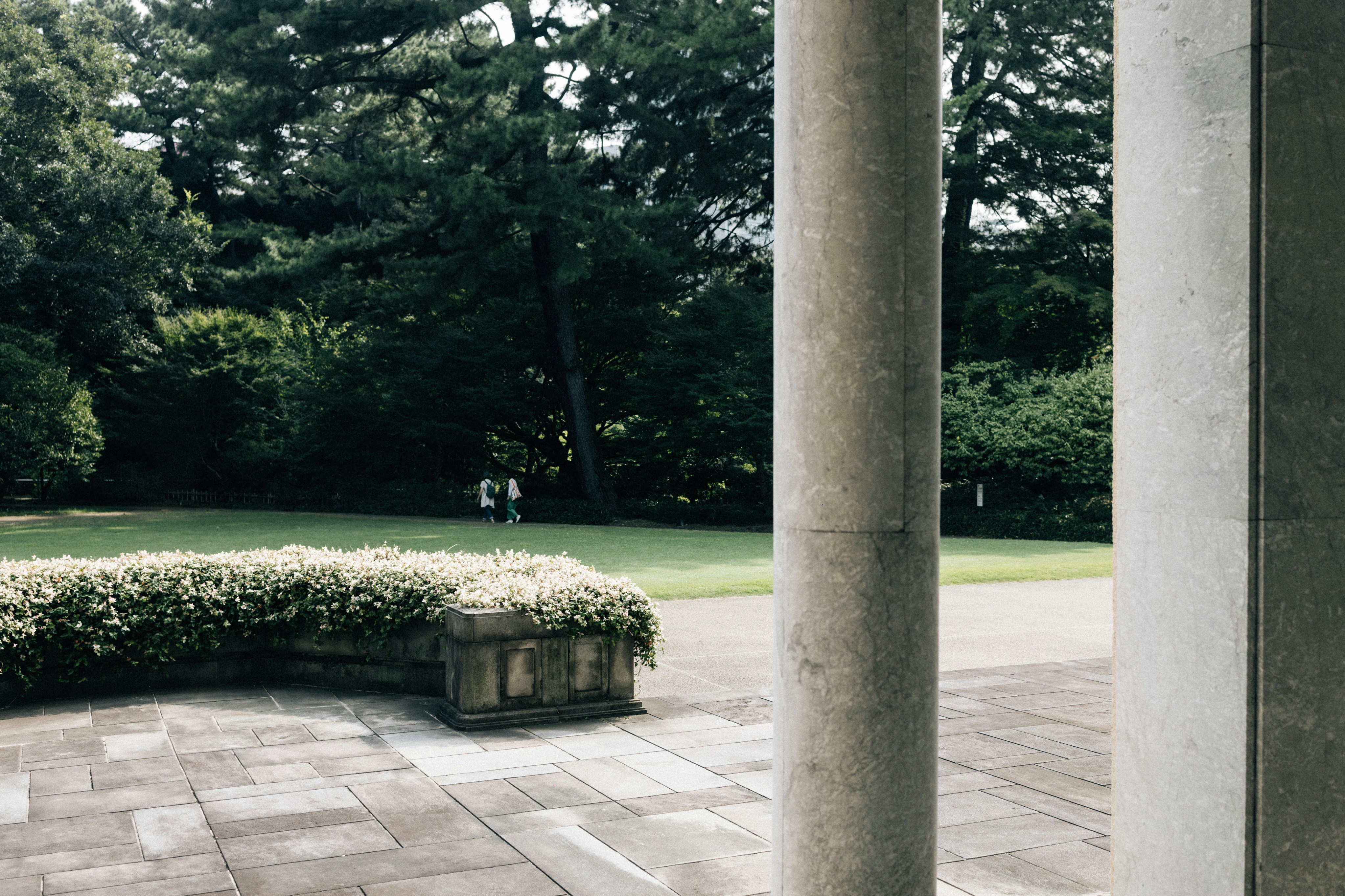 Photo by tsuyoshikozu