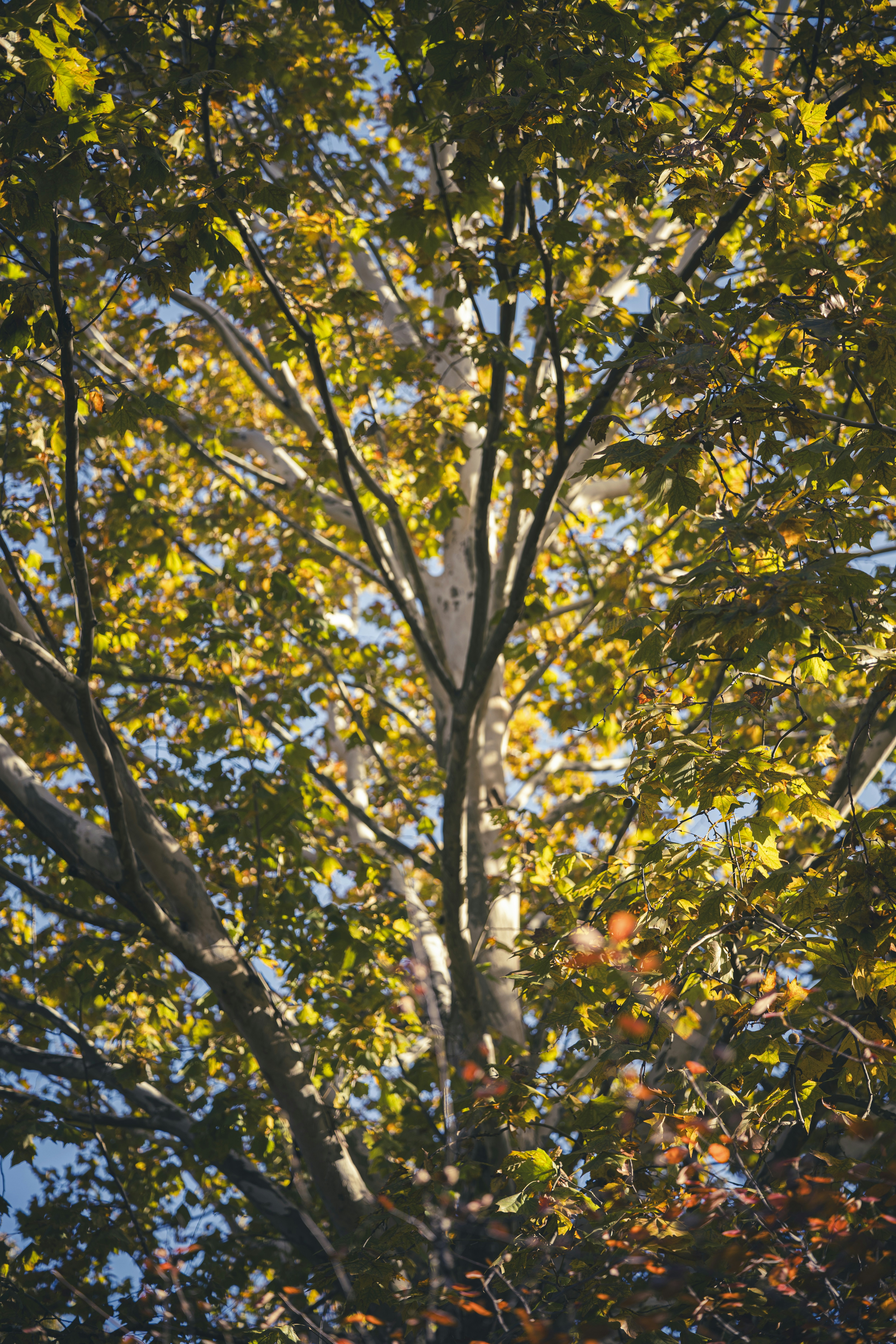 Photo by _itstheobraddock