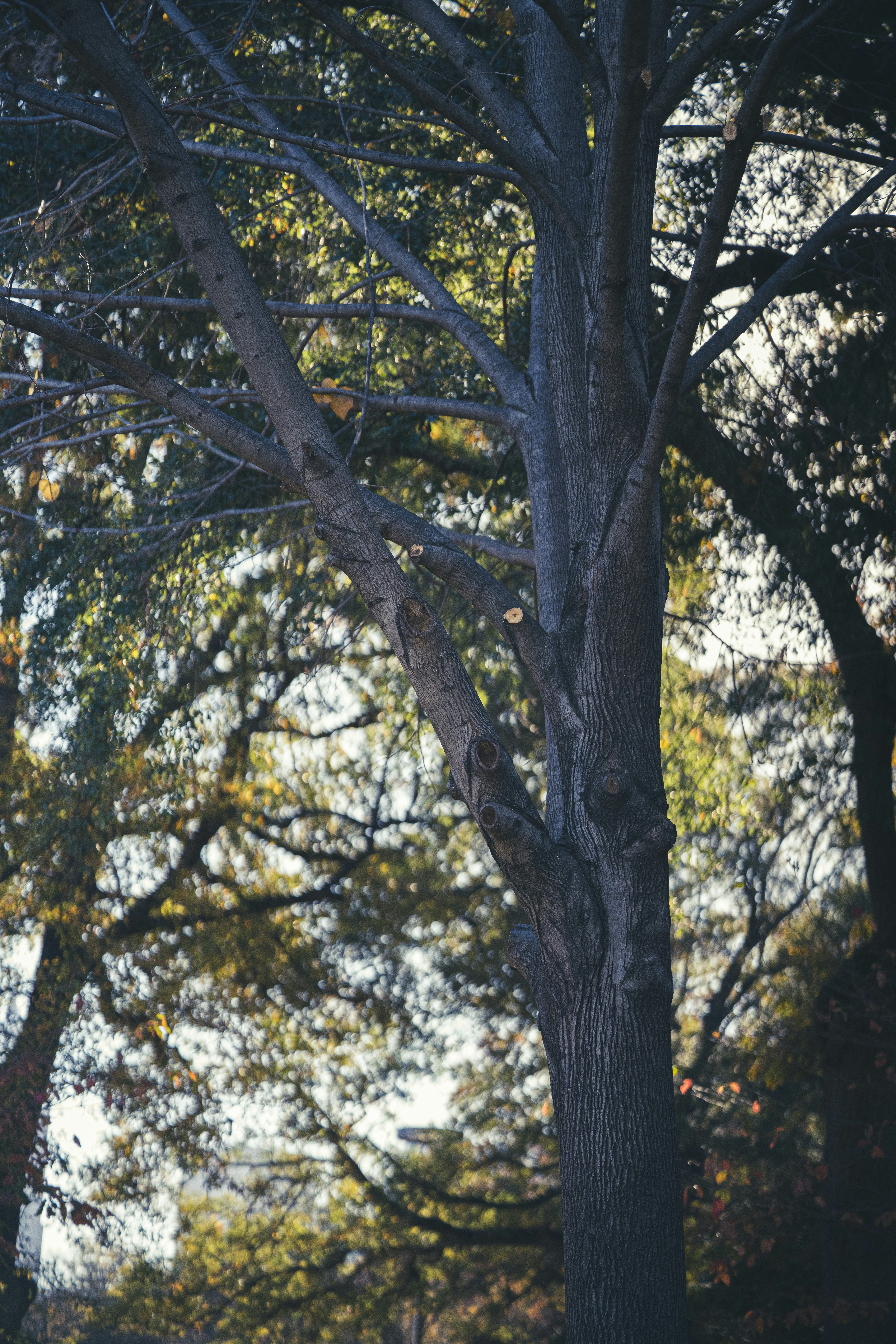 Photo by _itstheobraddock