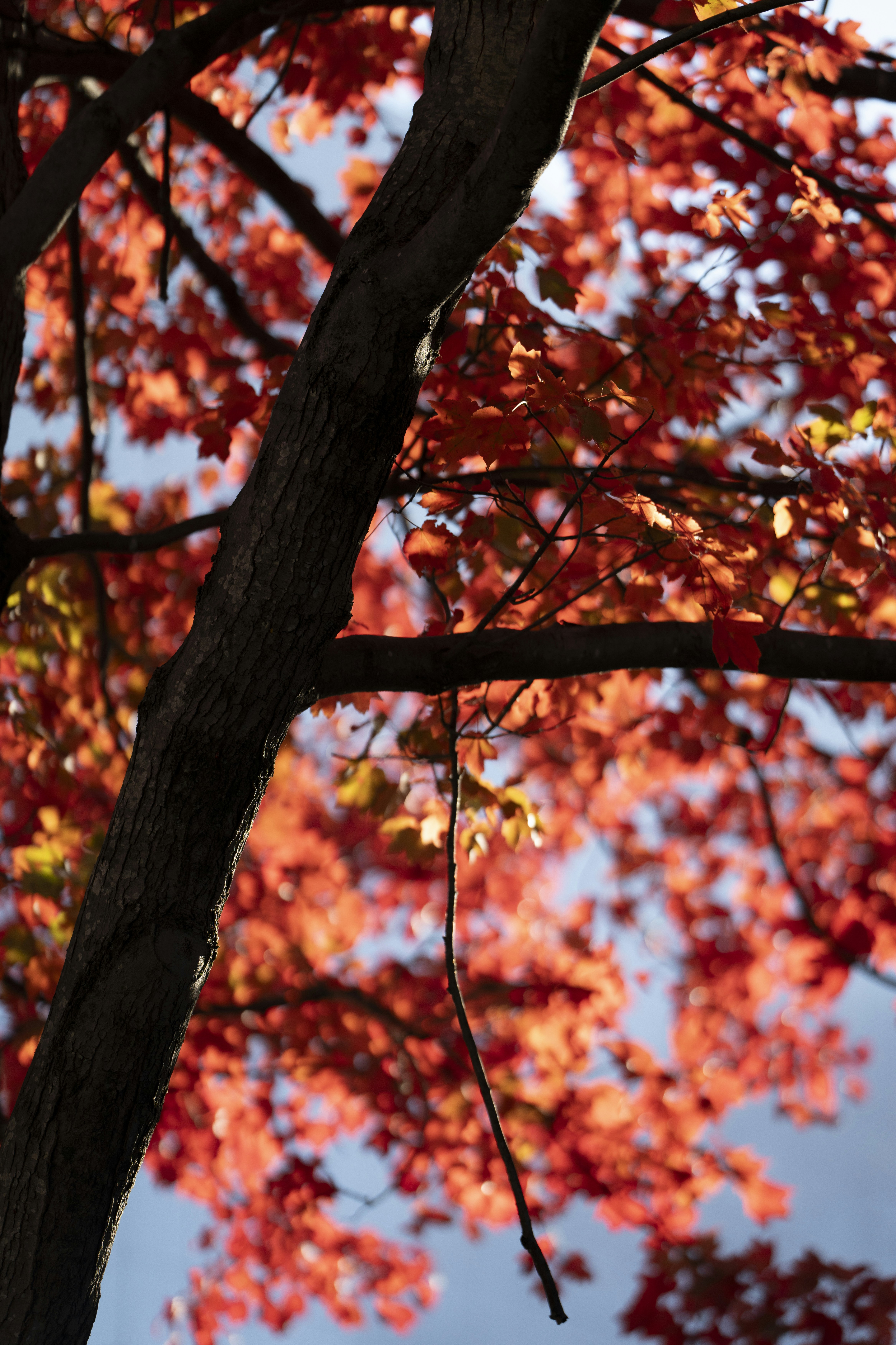 Photo by _itstheobraddock