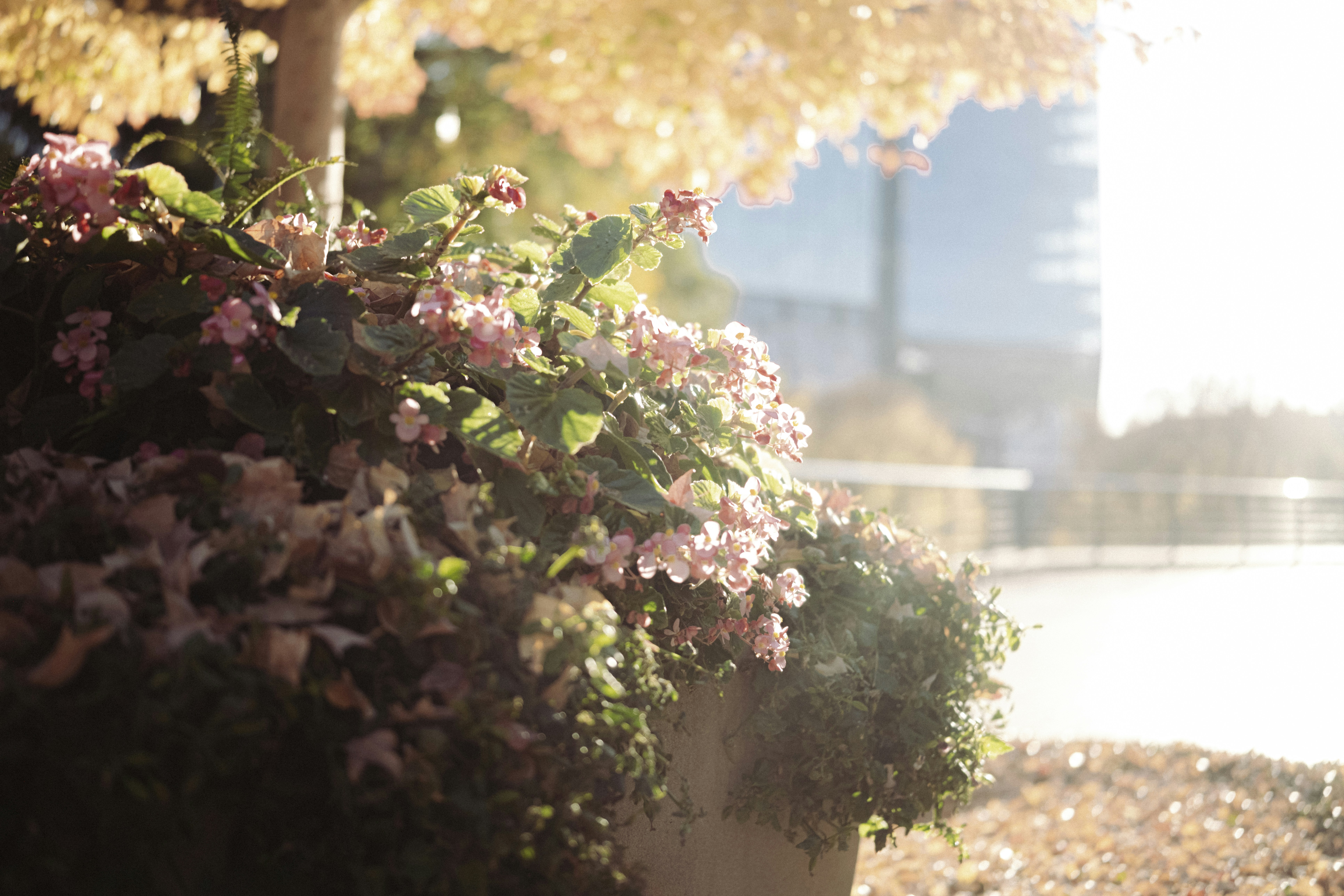 Photo by _itstheobraddock