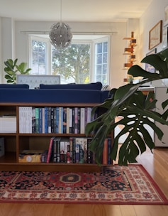 Living room with bookshelf, plants, and bay window