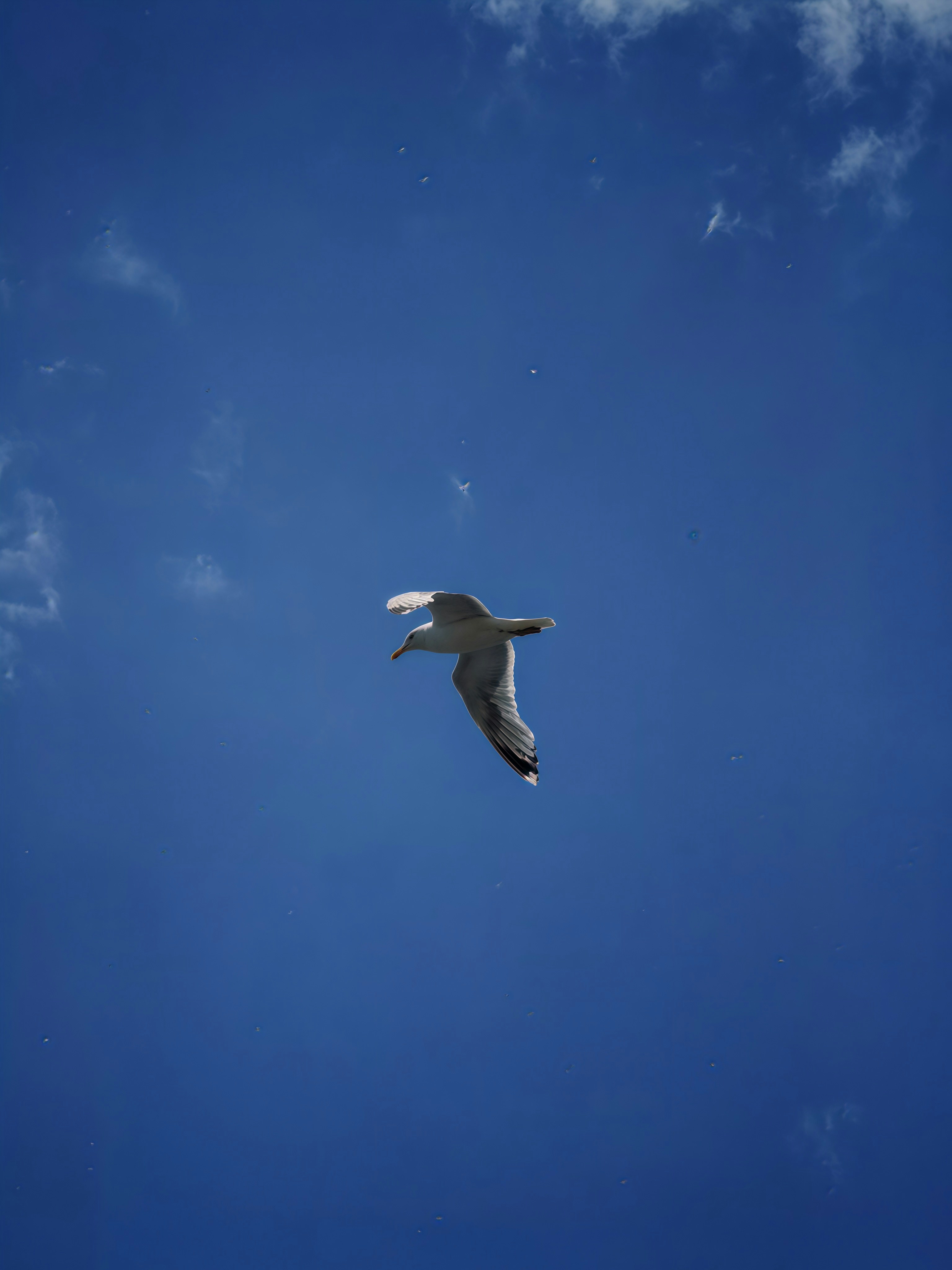 Photo by bestlifanna