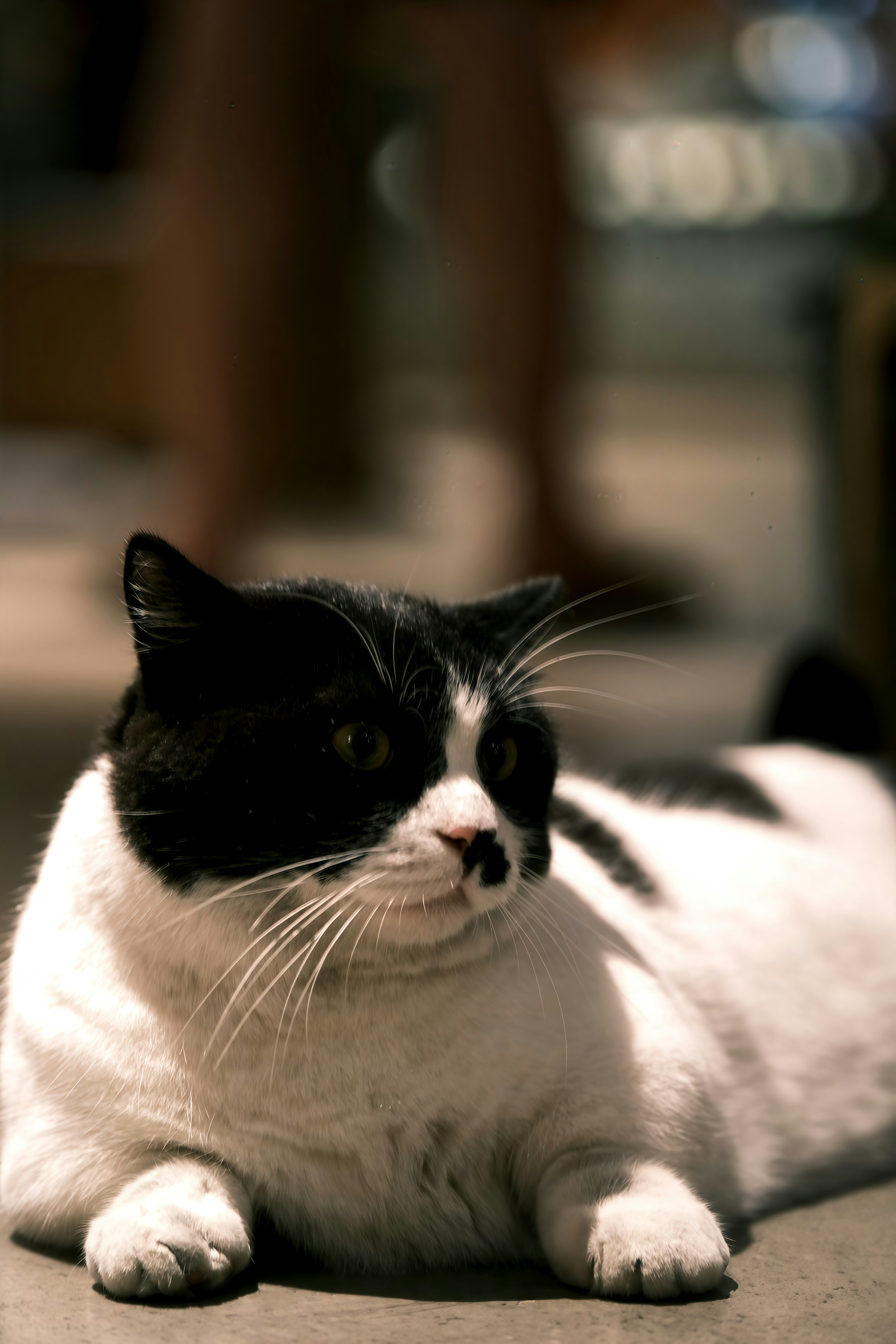 Photo by bestlifanna