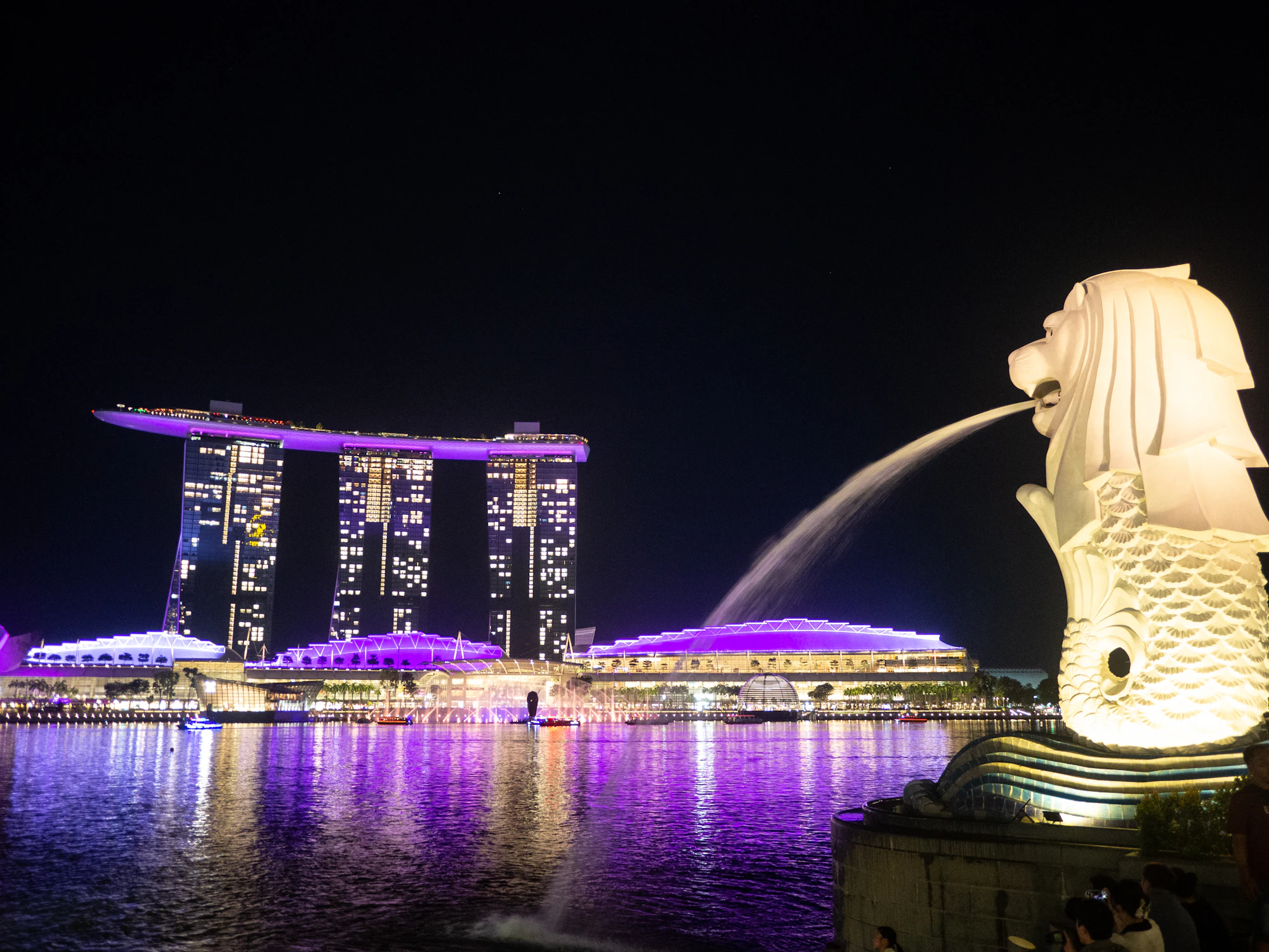 Merlion fountain and city lights at night, Singapore