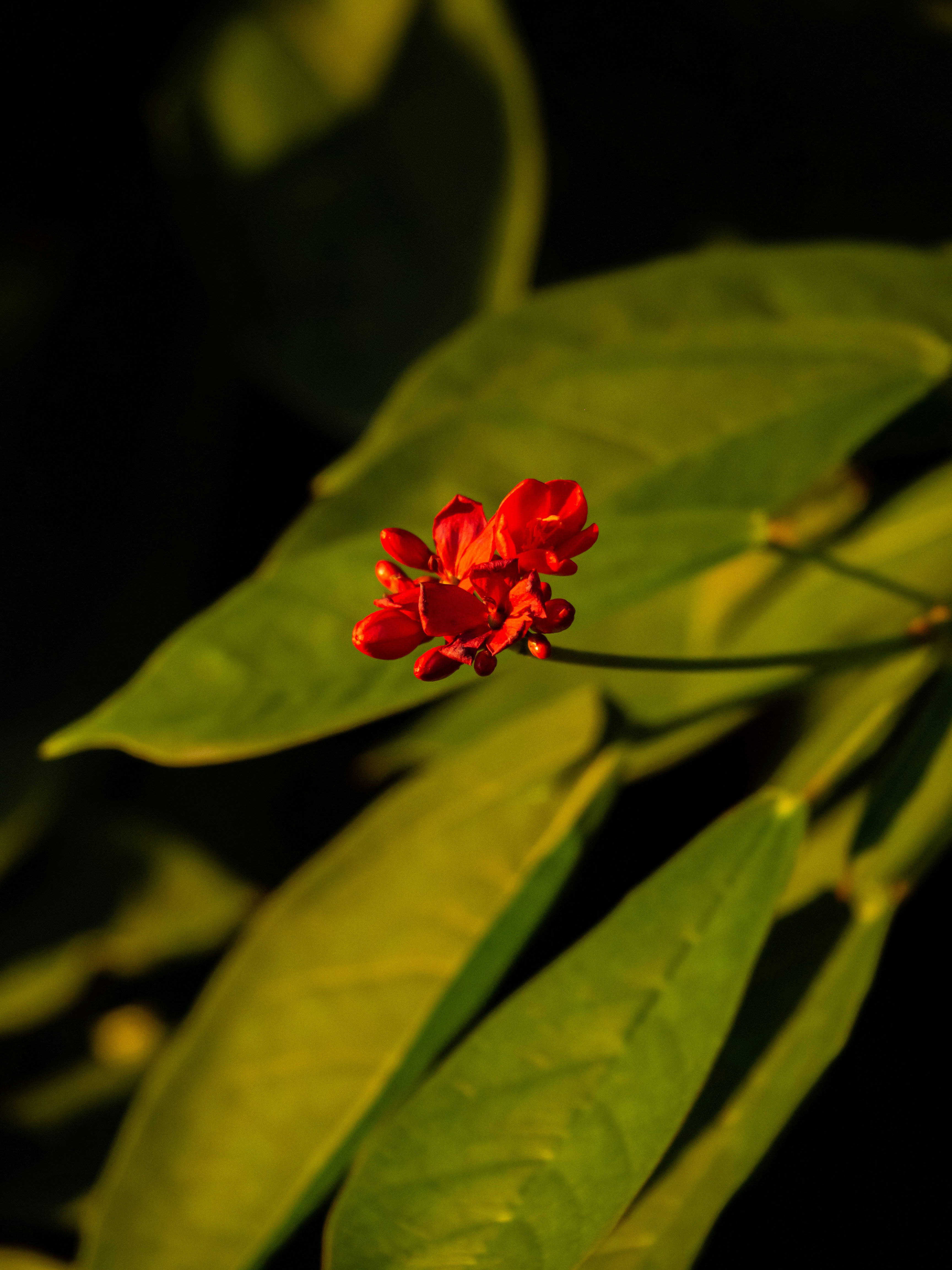 Photo by siriusharrison