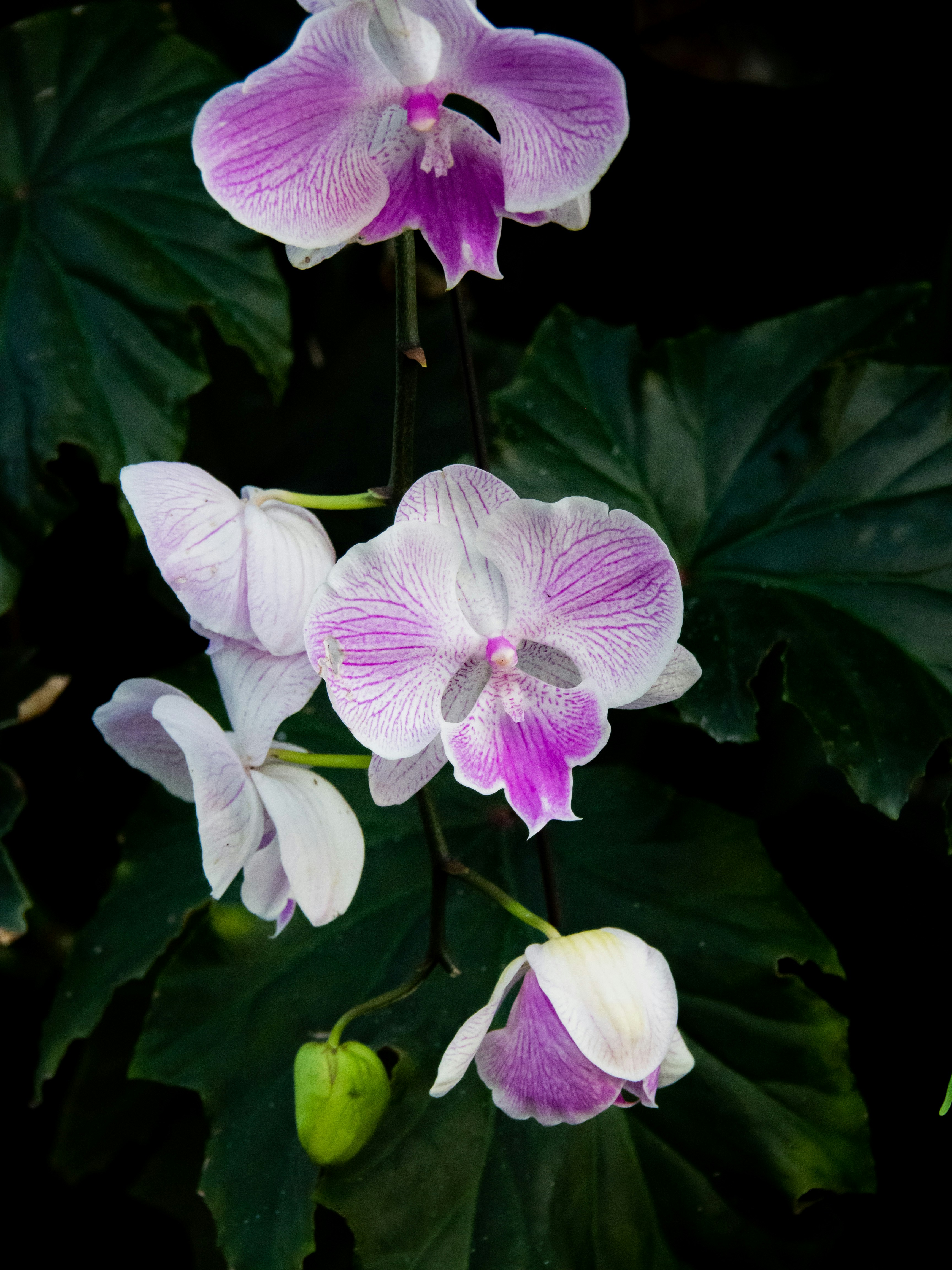 Photo by siriusharrison