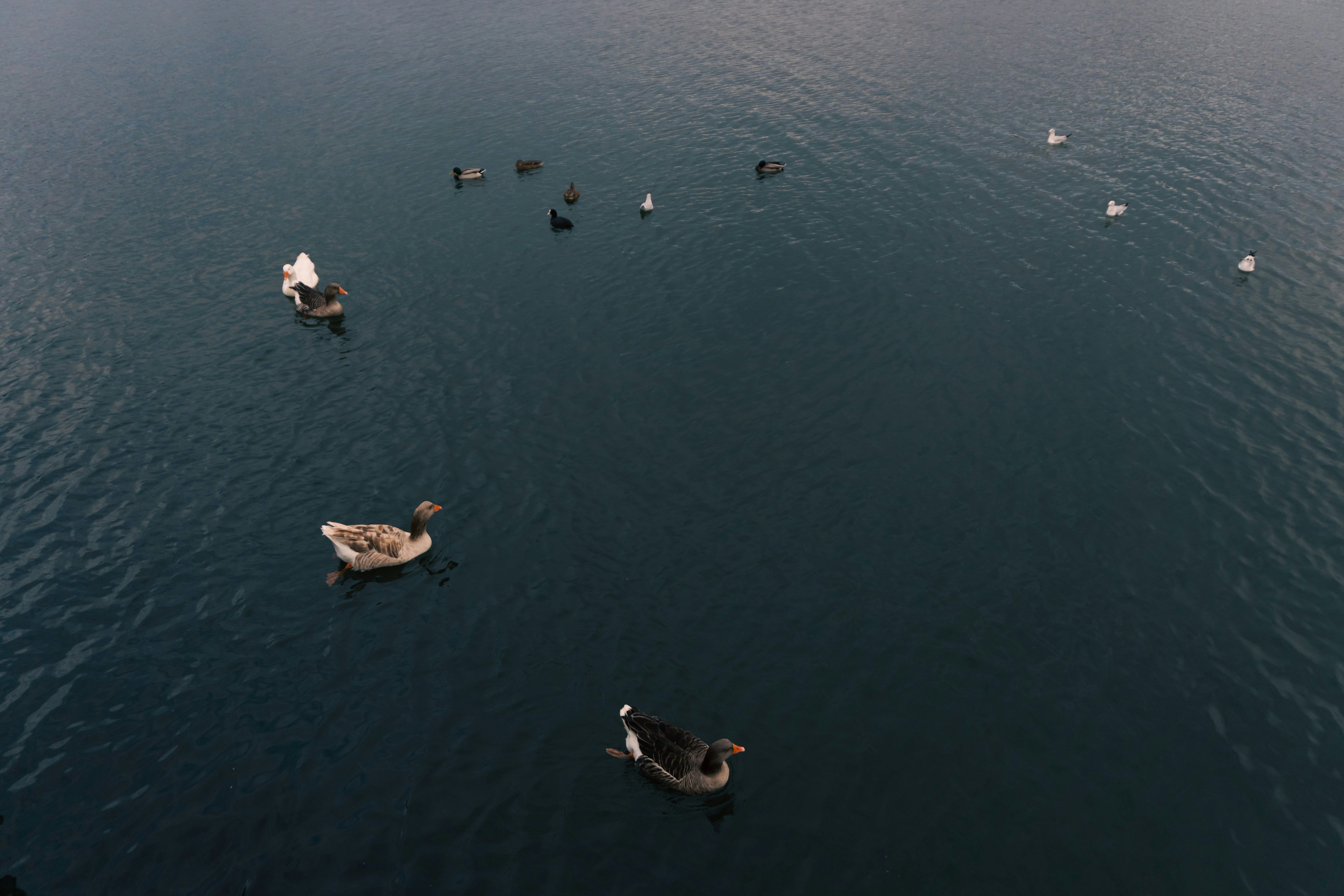 Photo by onurcanelma