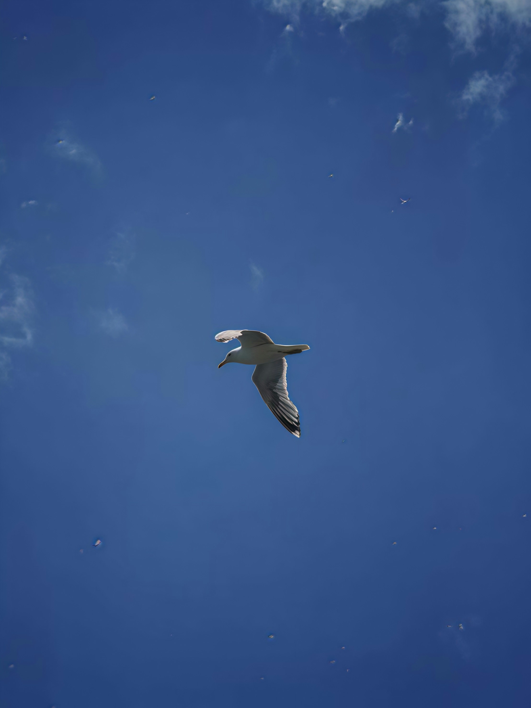 Photo by bestlifanna