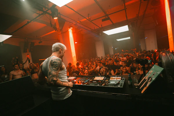 DJ performing for a crowd at a concert