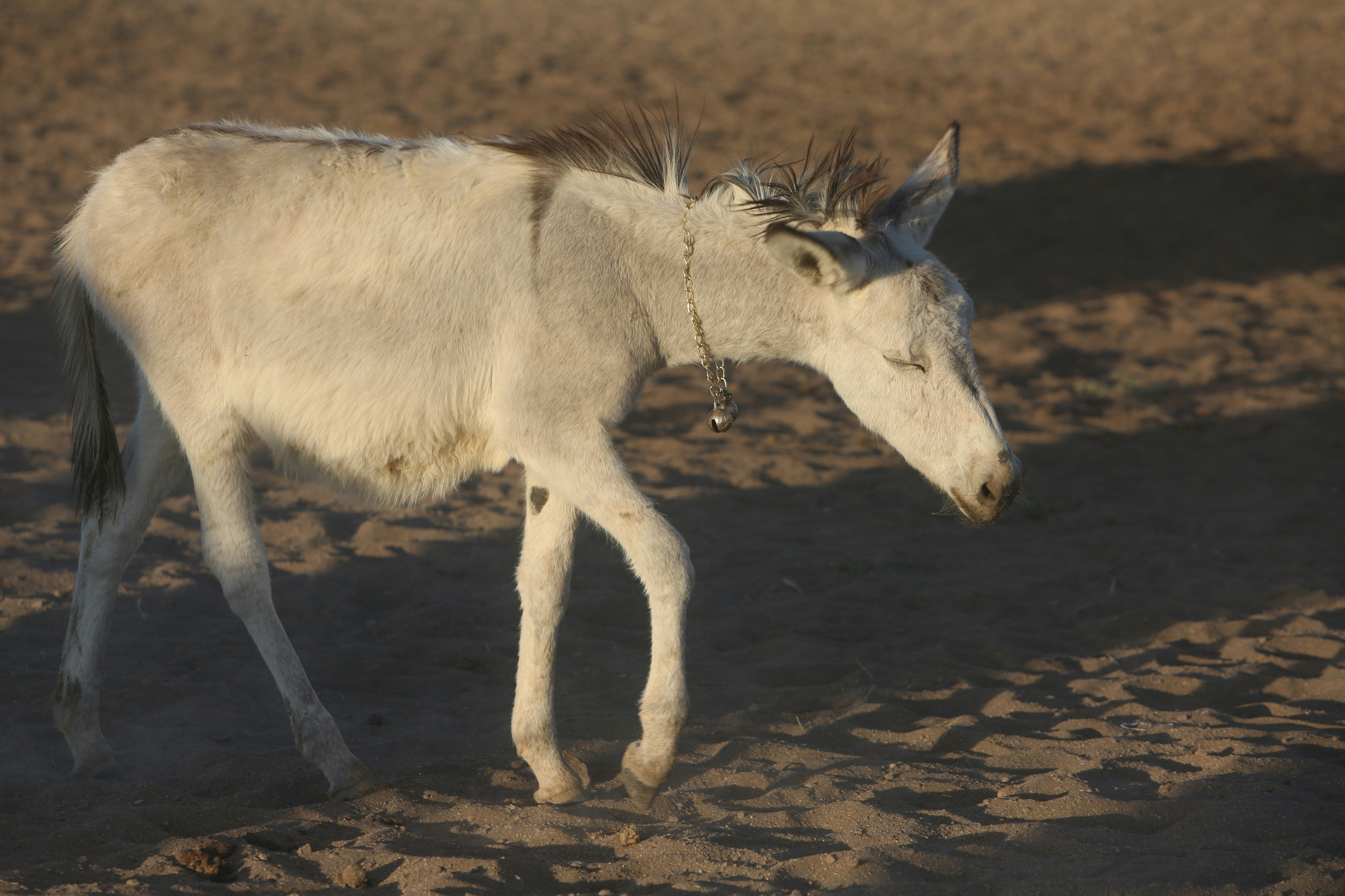 Photo by shirinkamal