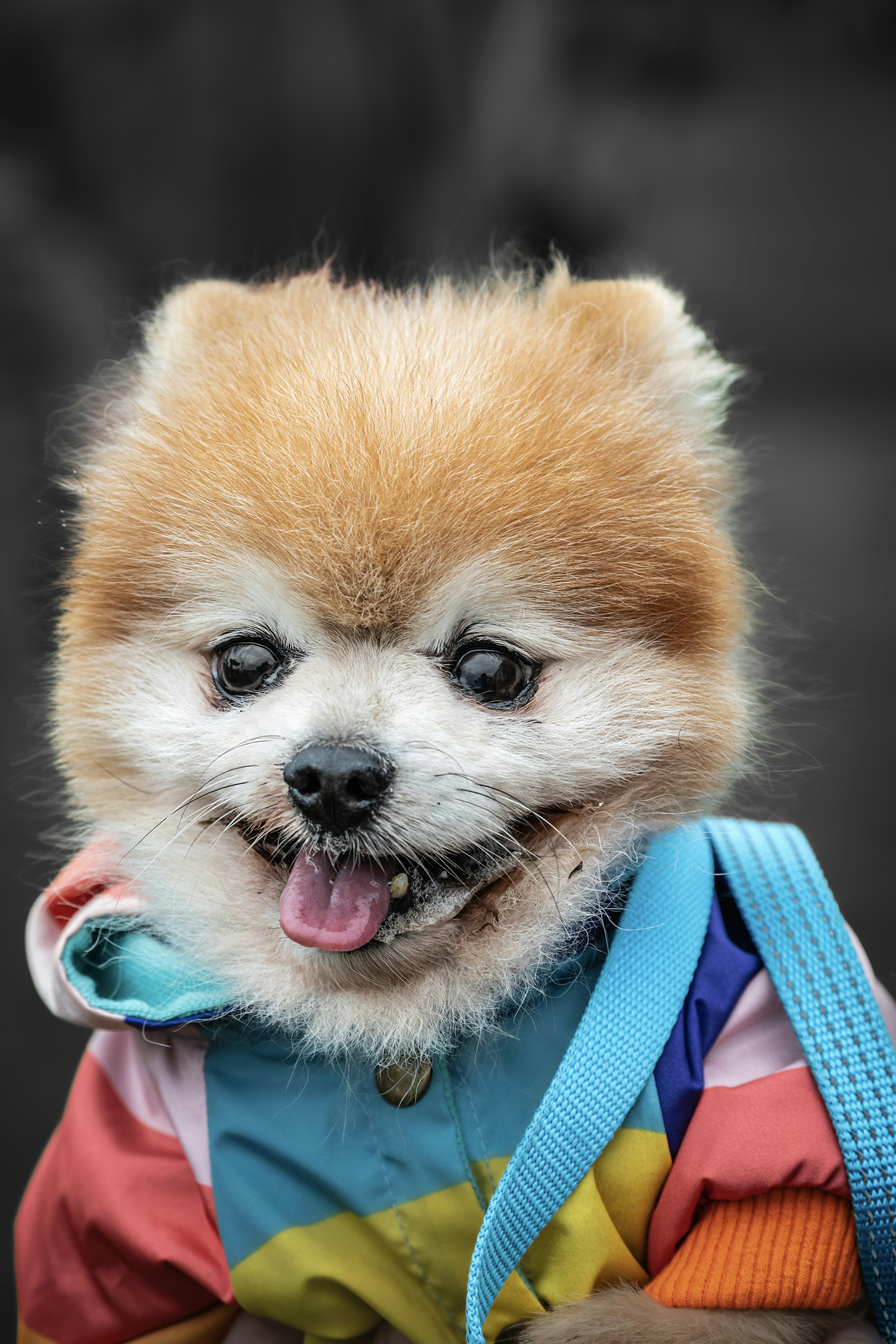 Photo by graphis_photos