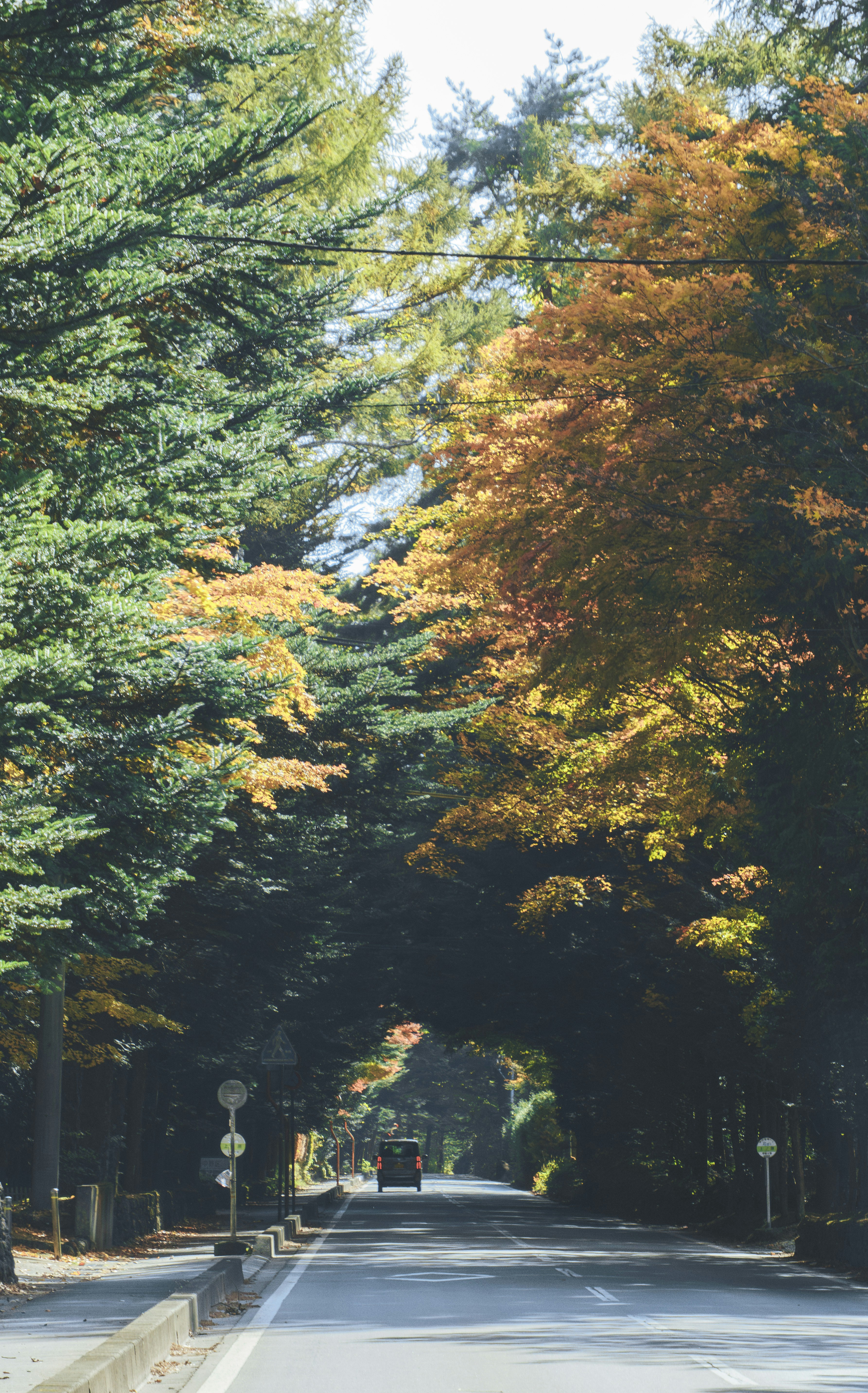 Photo by taiga_miyamoto