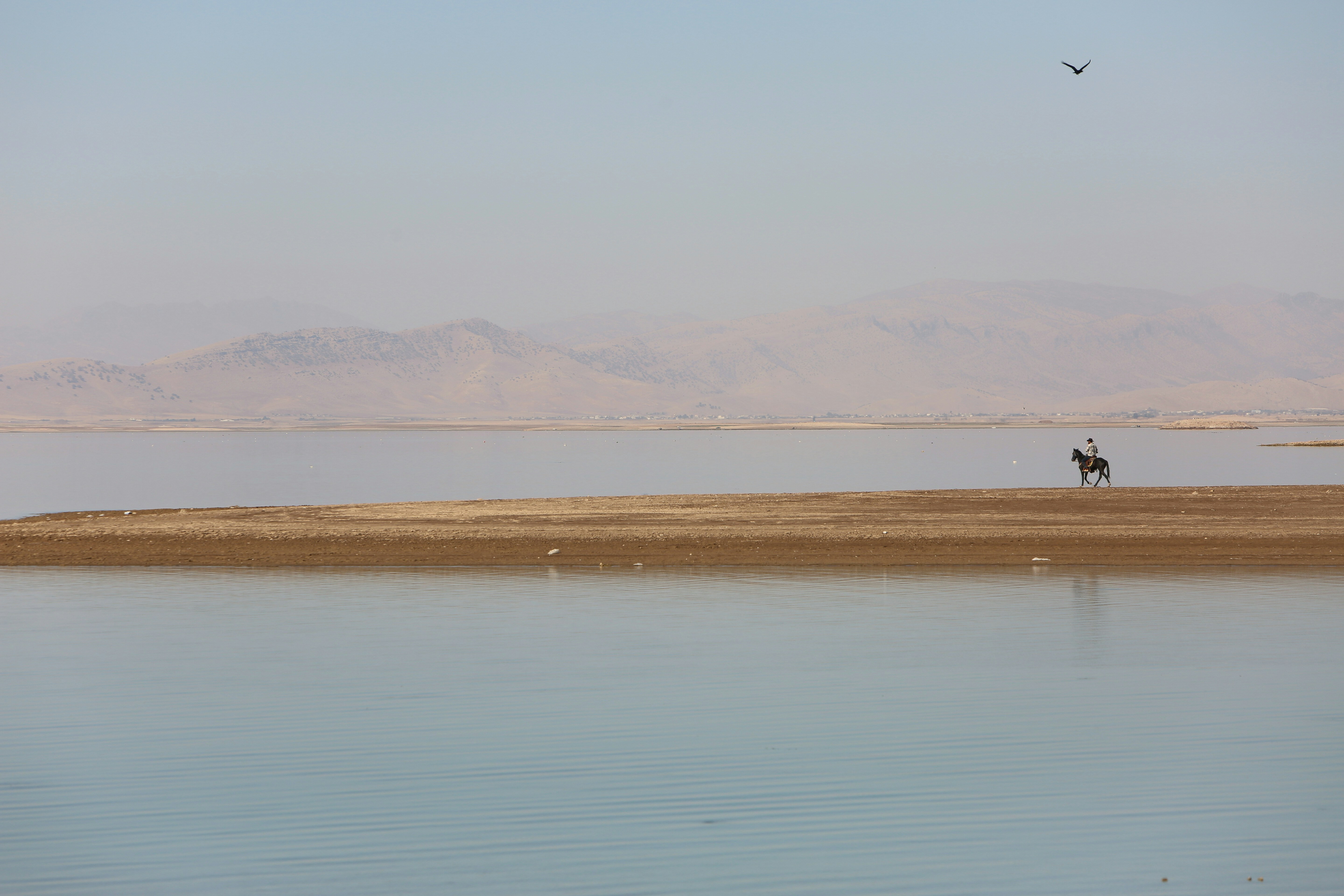 Photo by shirinkamal