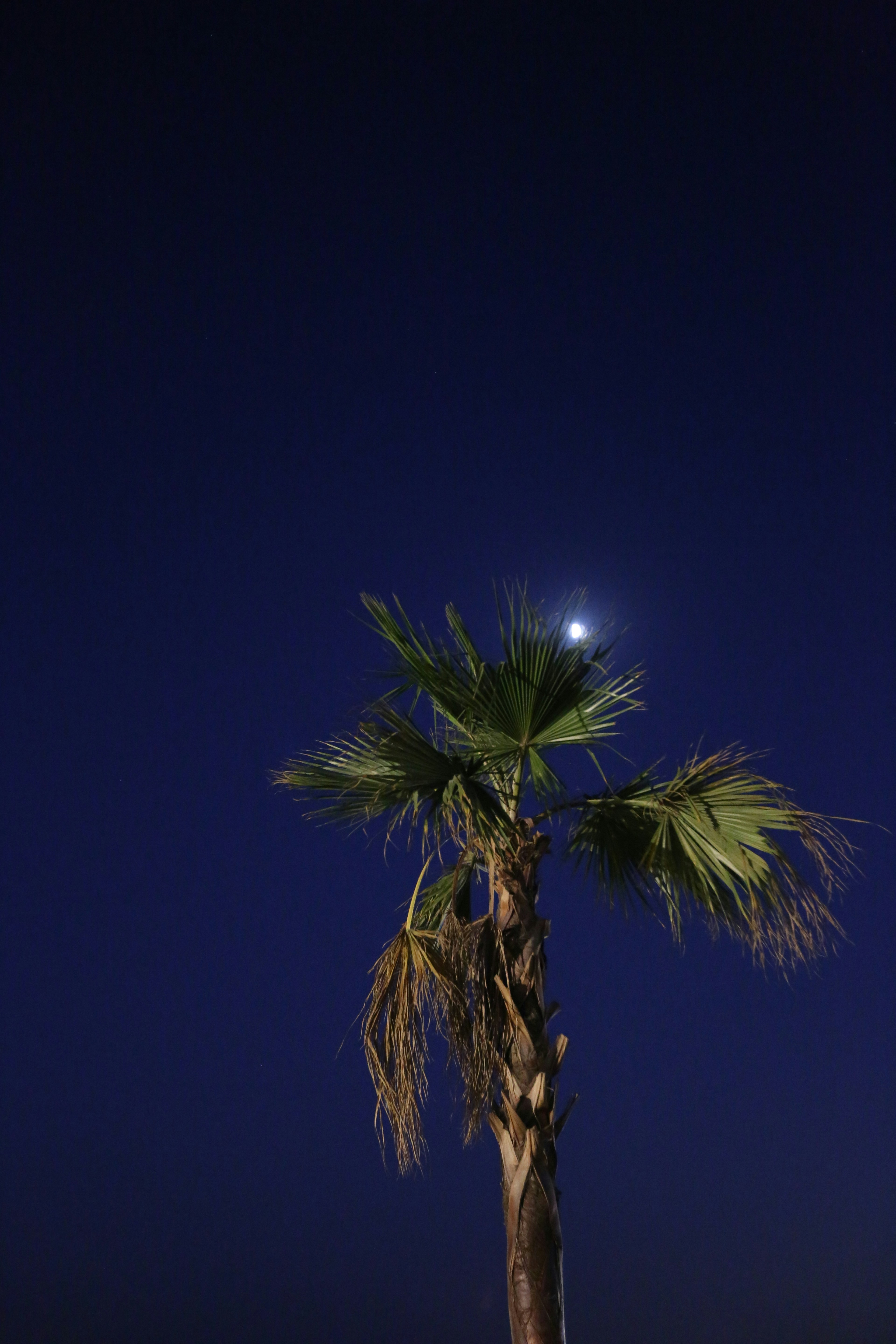 calm night sky, wallpaper, 6 Cara Mengatasi Batuk dan Sesak Nafas di Malam Hari 4