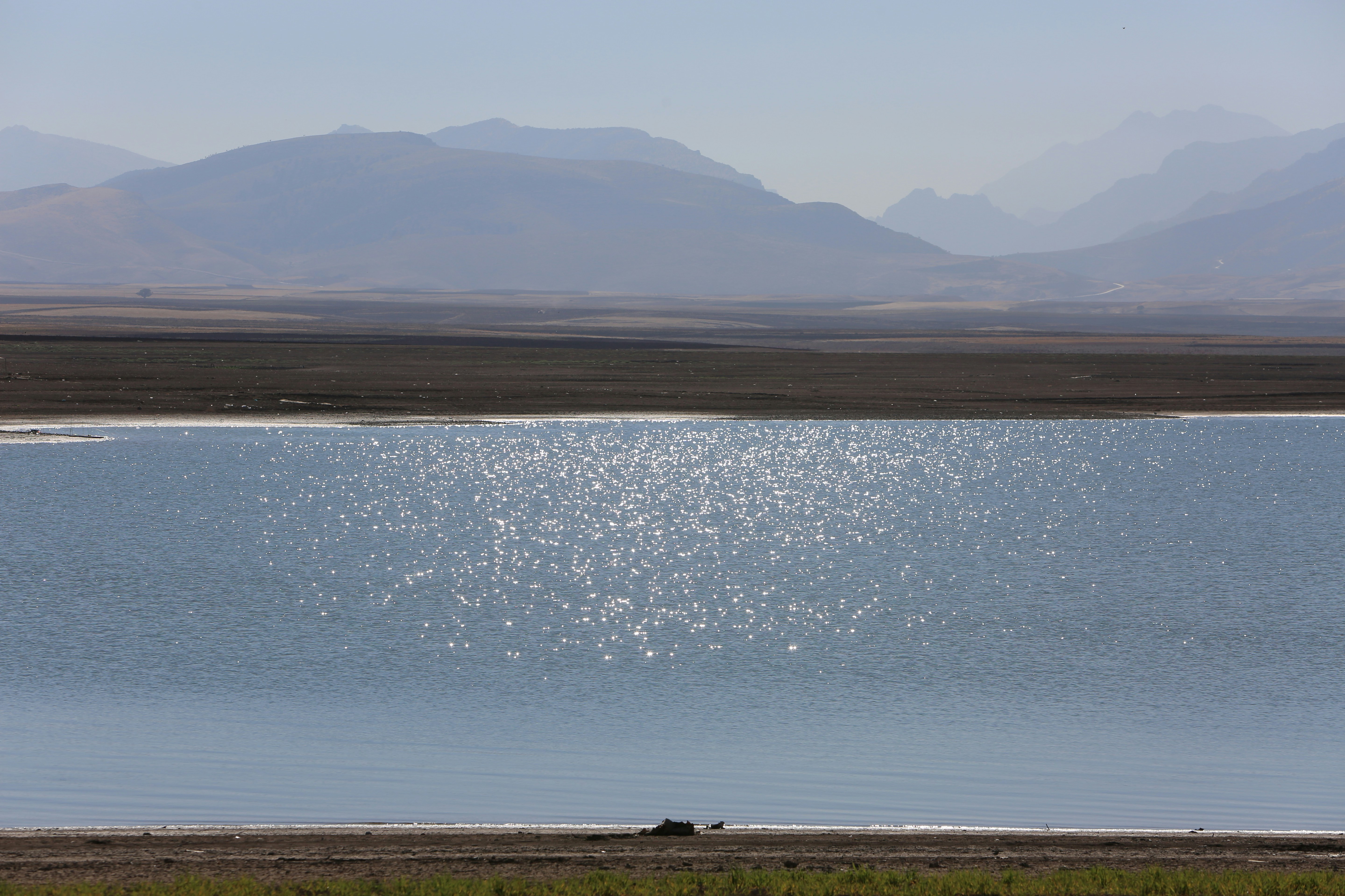 Photo by shirinkamal