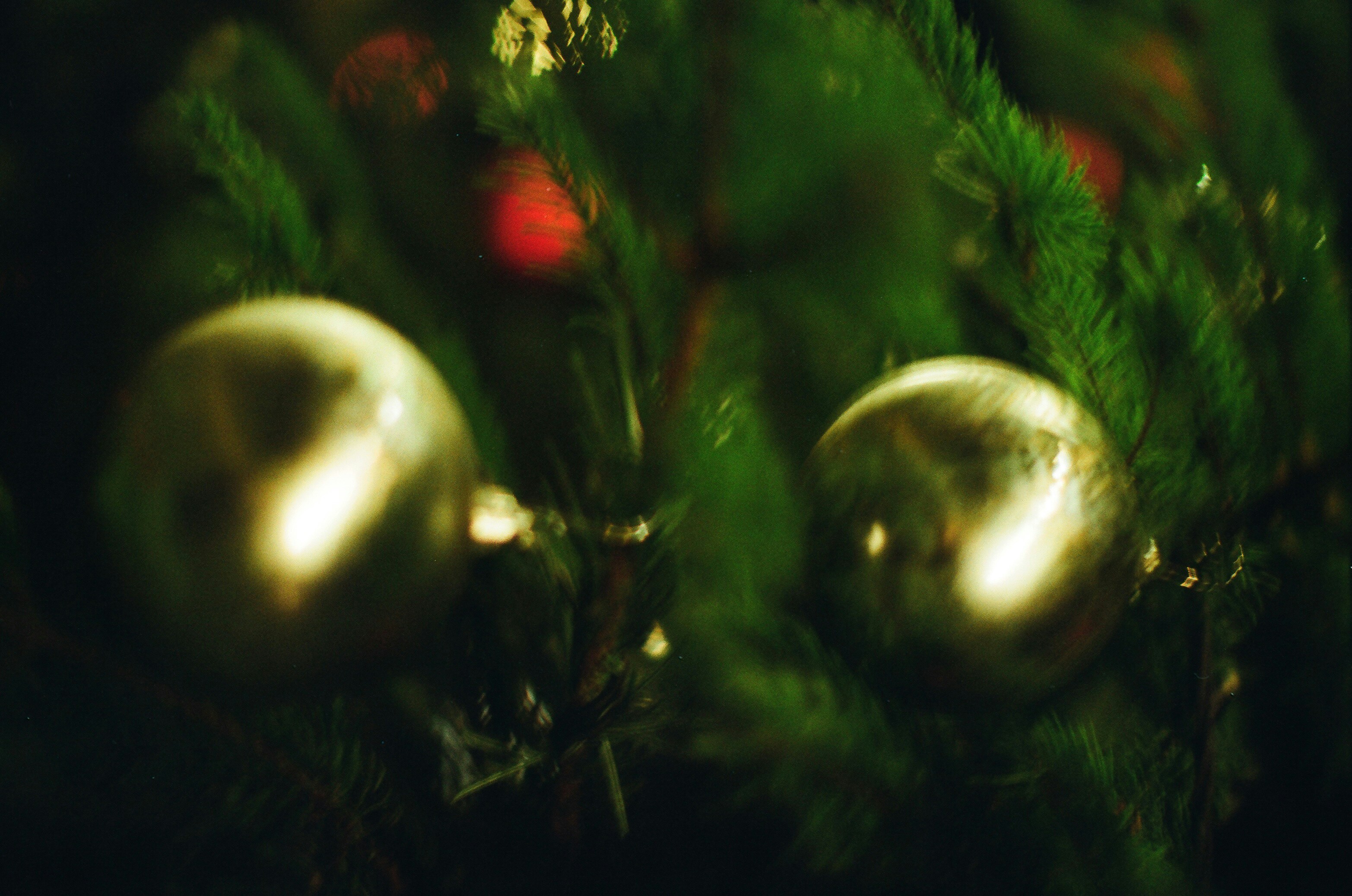 Photo by tanyabarrow