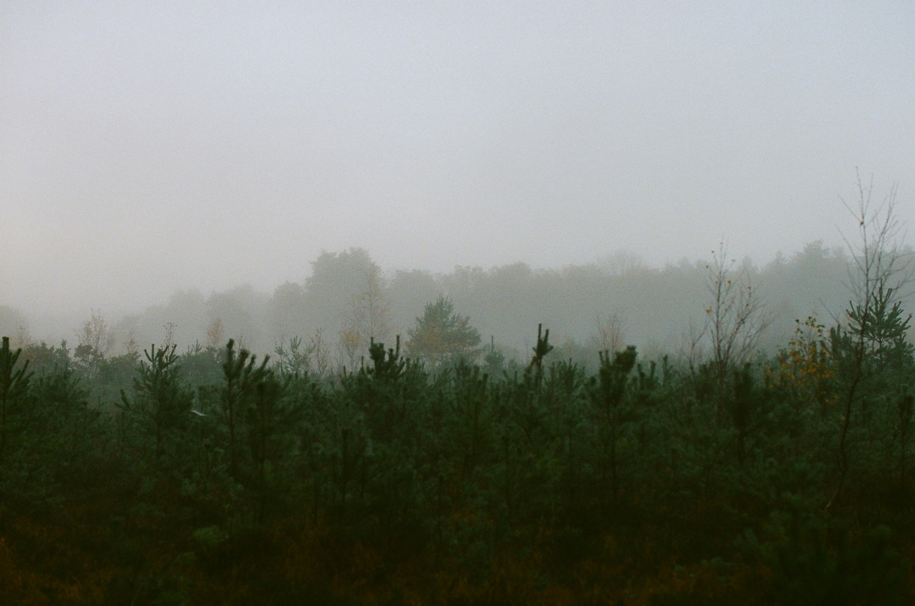 Photo by tanyabarrow