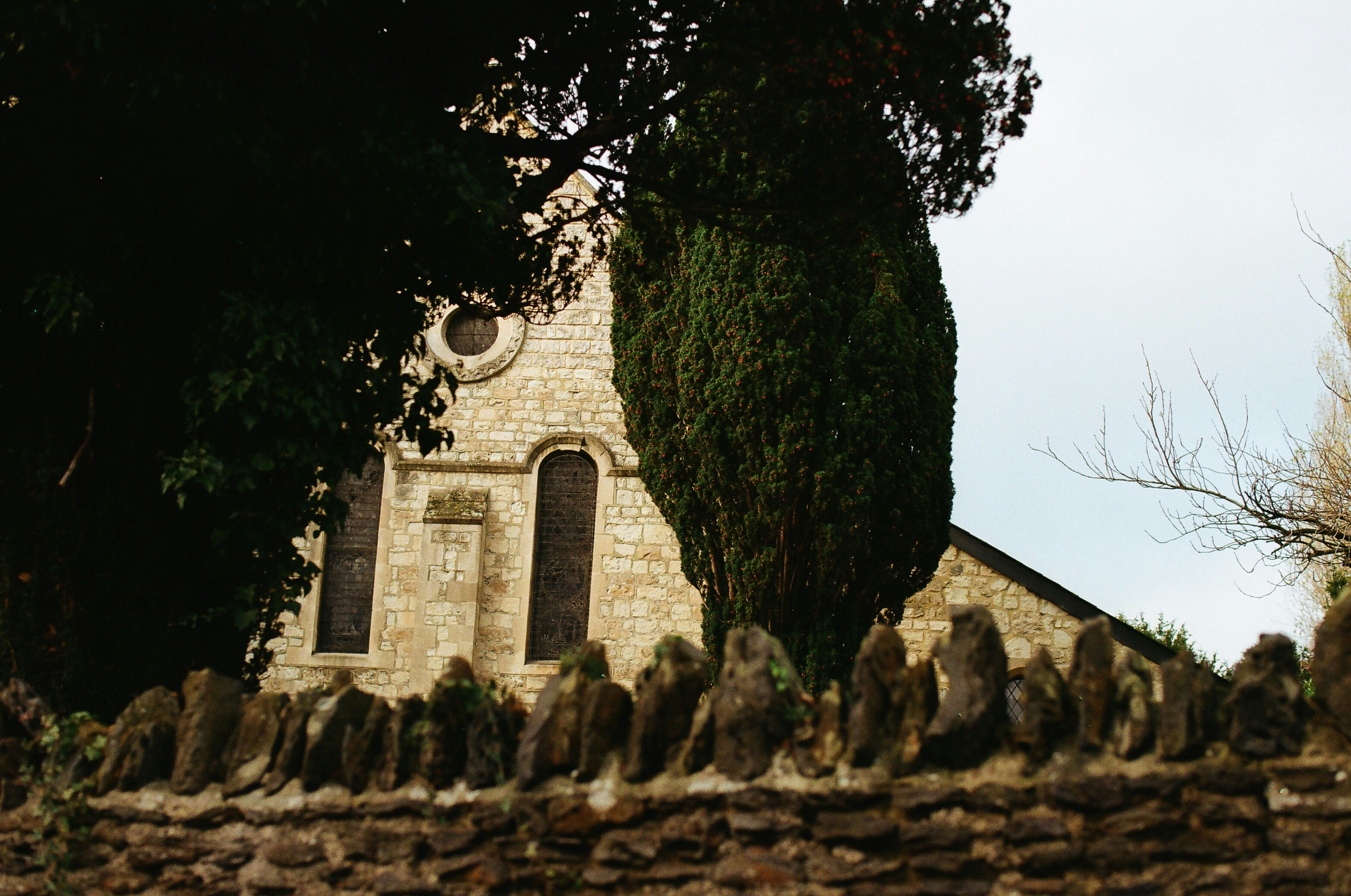 Photo by tanyabarrow