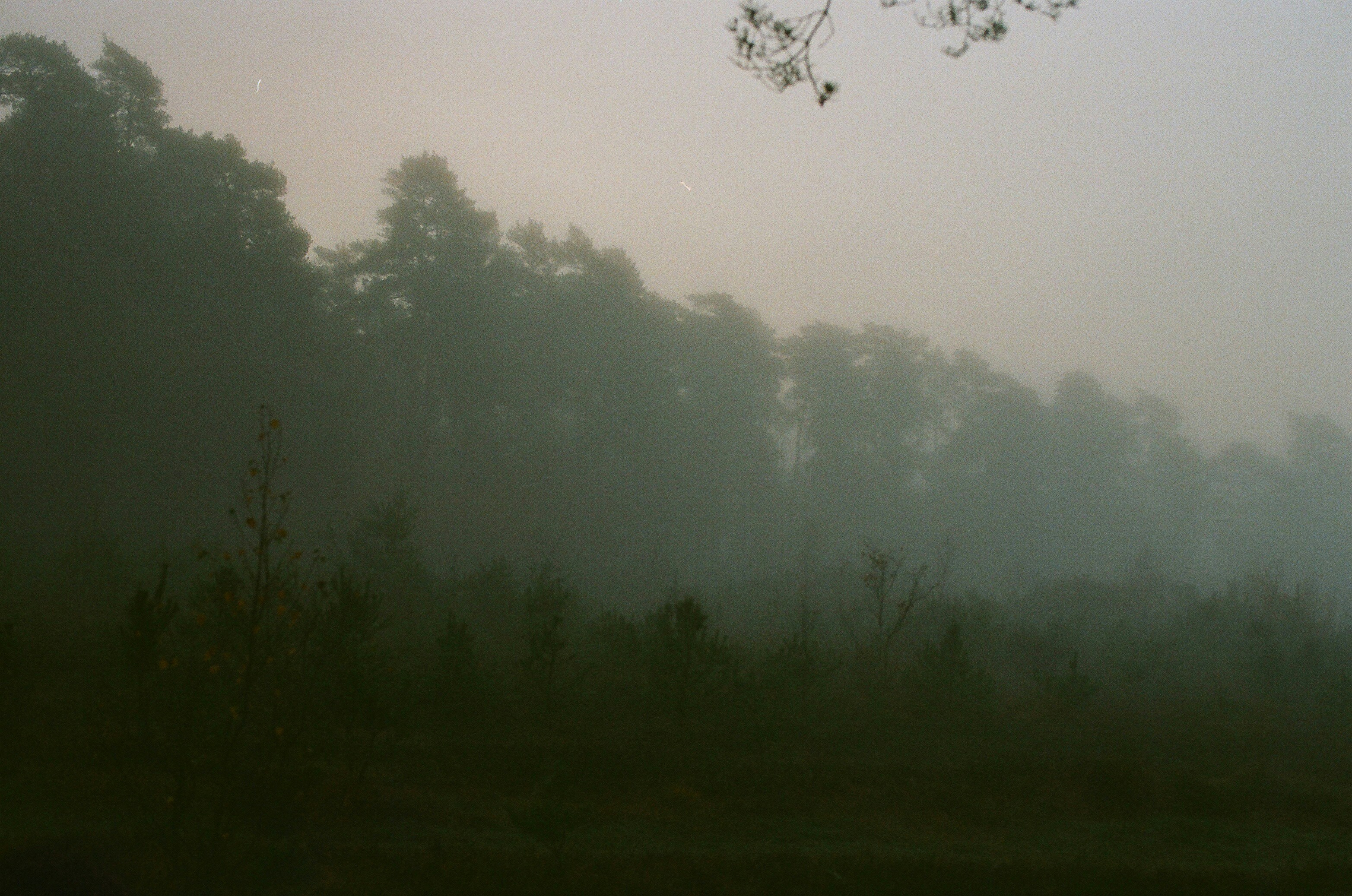 Photo by tanyabarrow