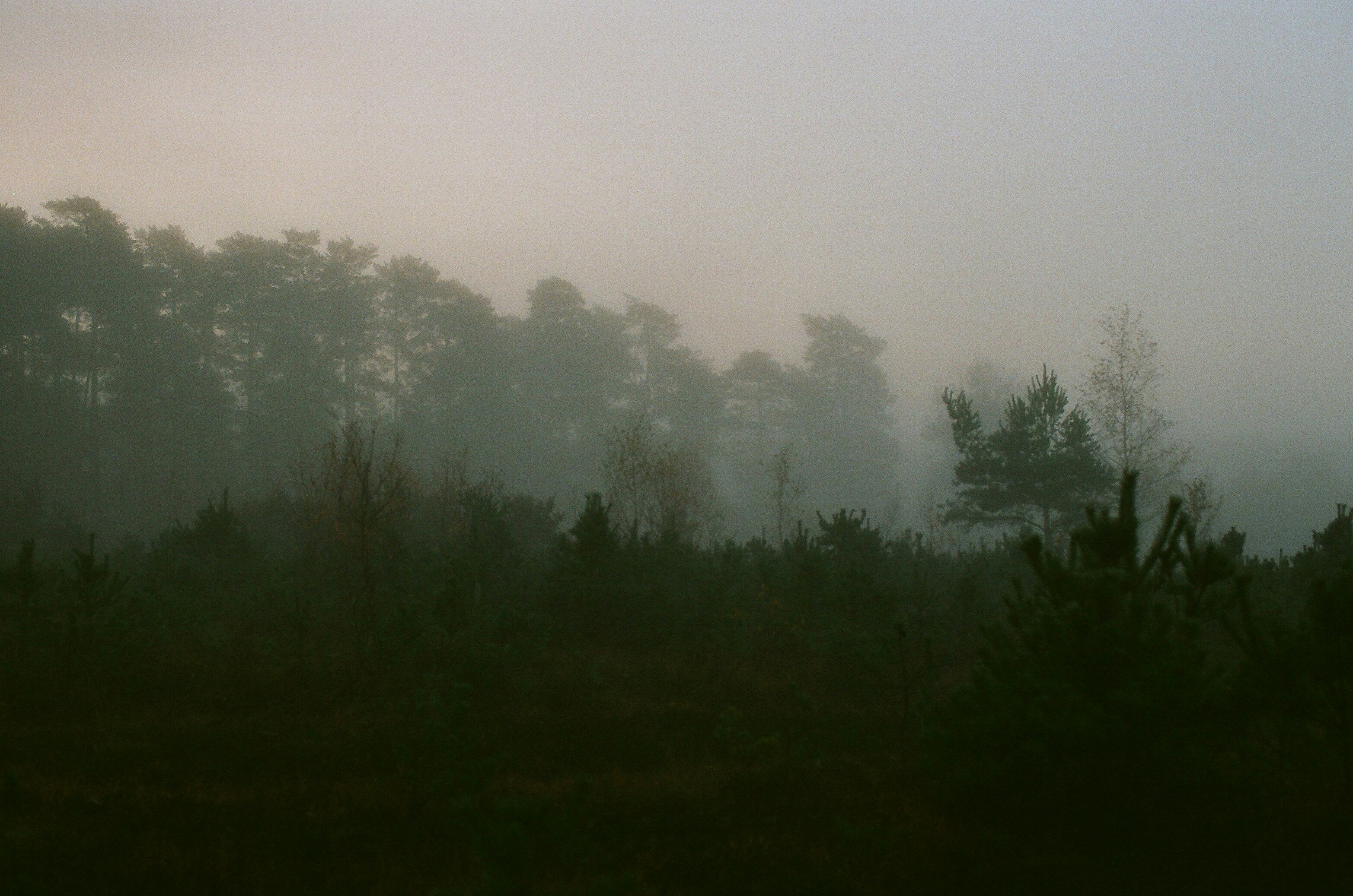 Photo by tanyabarrow