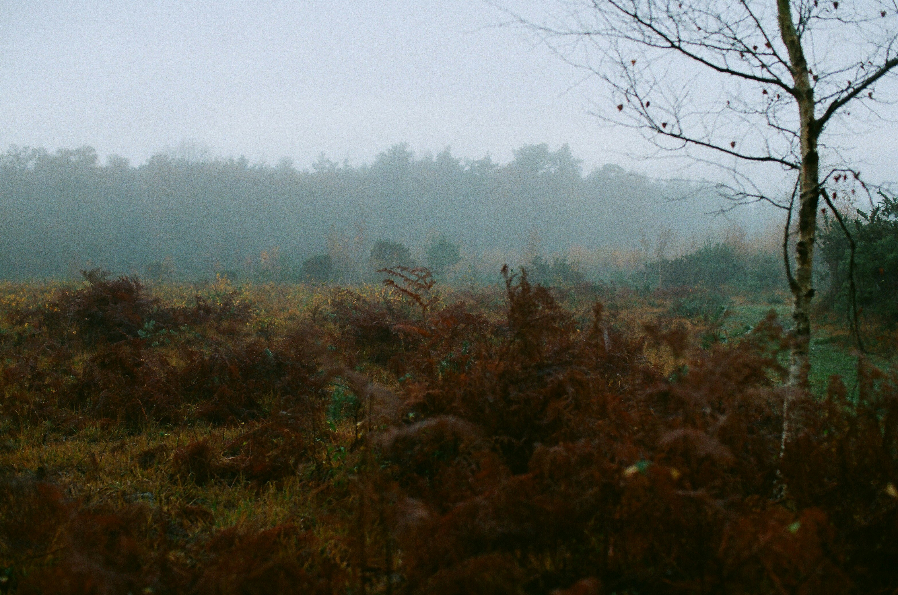 Photo by tanyabarrow