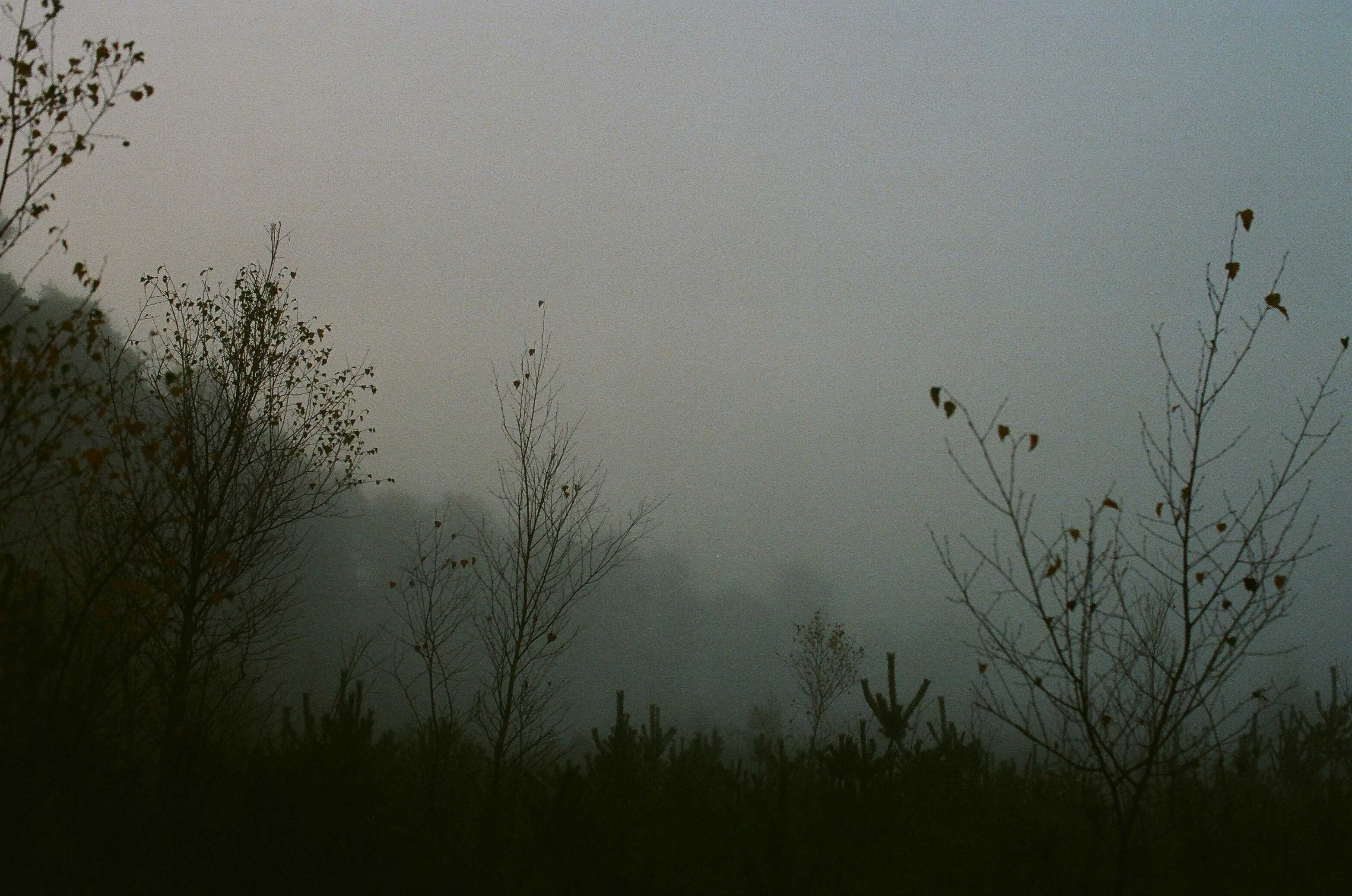 Photo by tanyabarrow