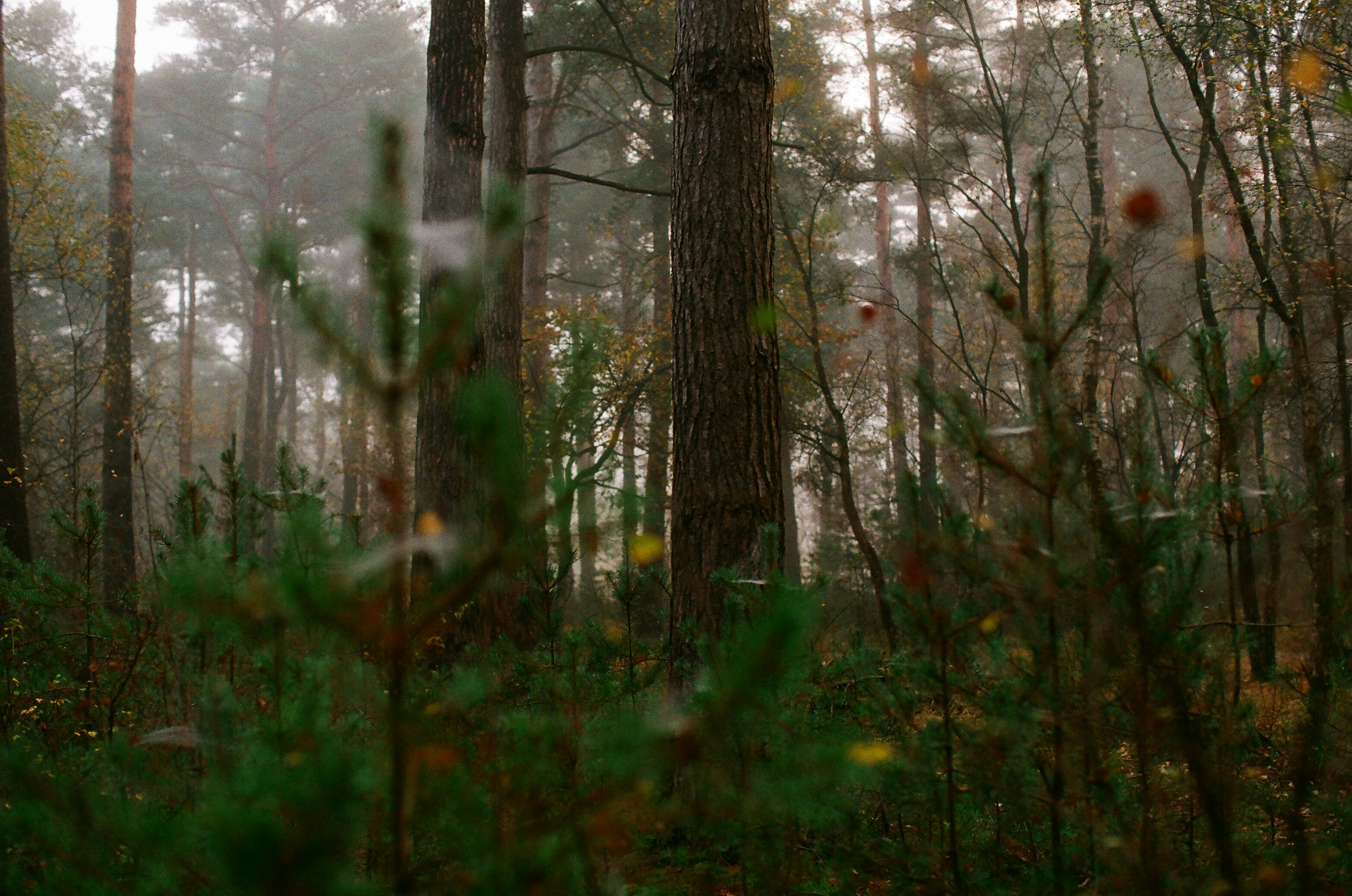 Photo by tanyabarrow